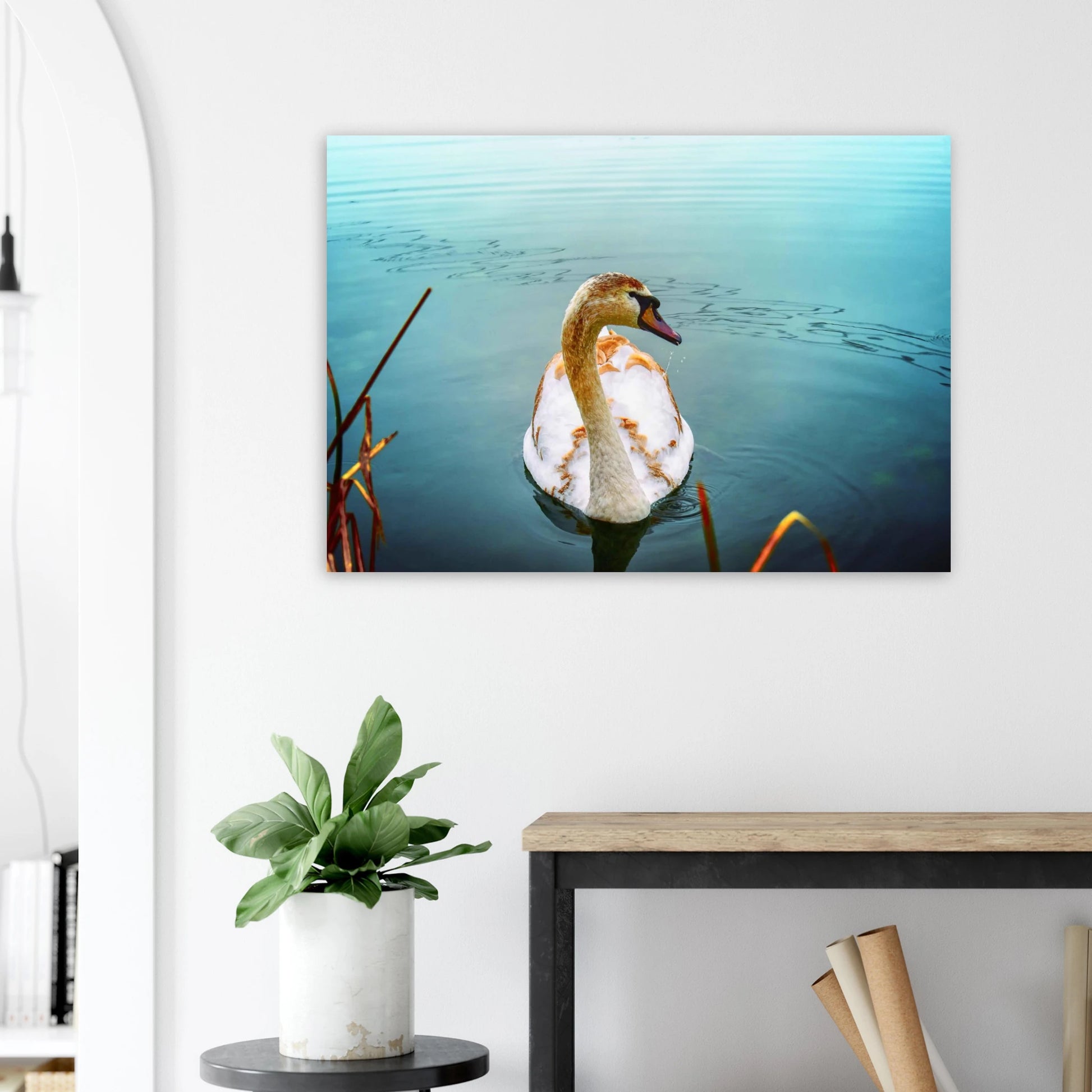 e154678a-af53-4910-aea1-6edec3d95fd8