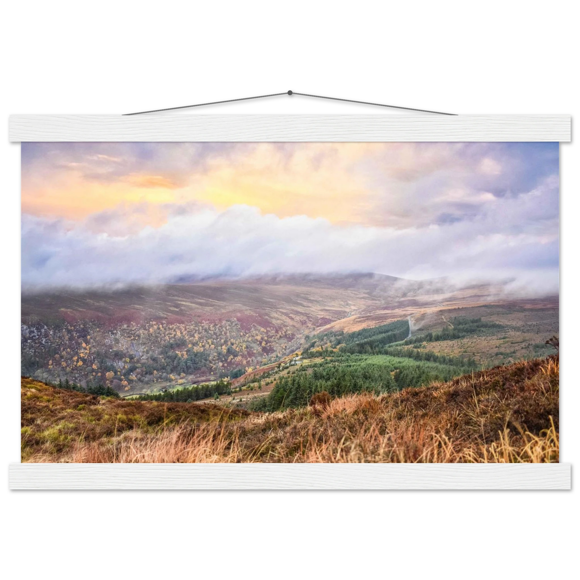 e161d1ef-9c4f-4a4e-8dd8-9aee696931a7