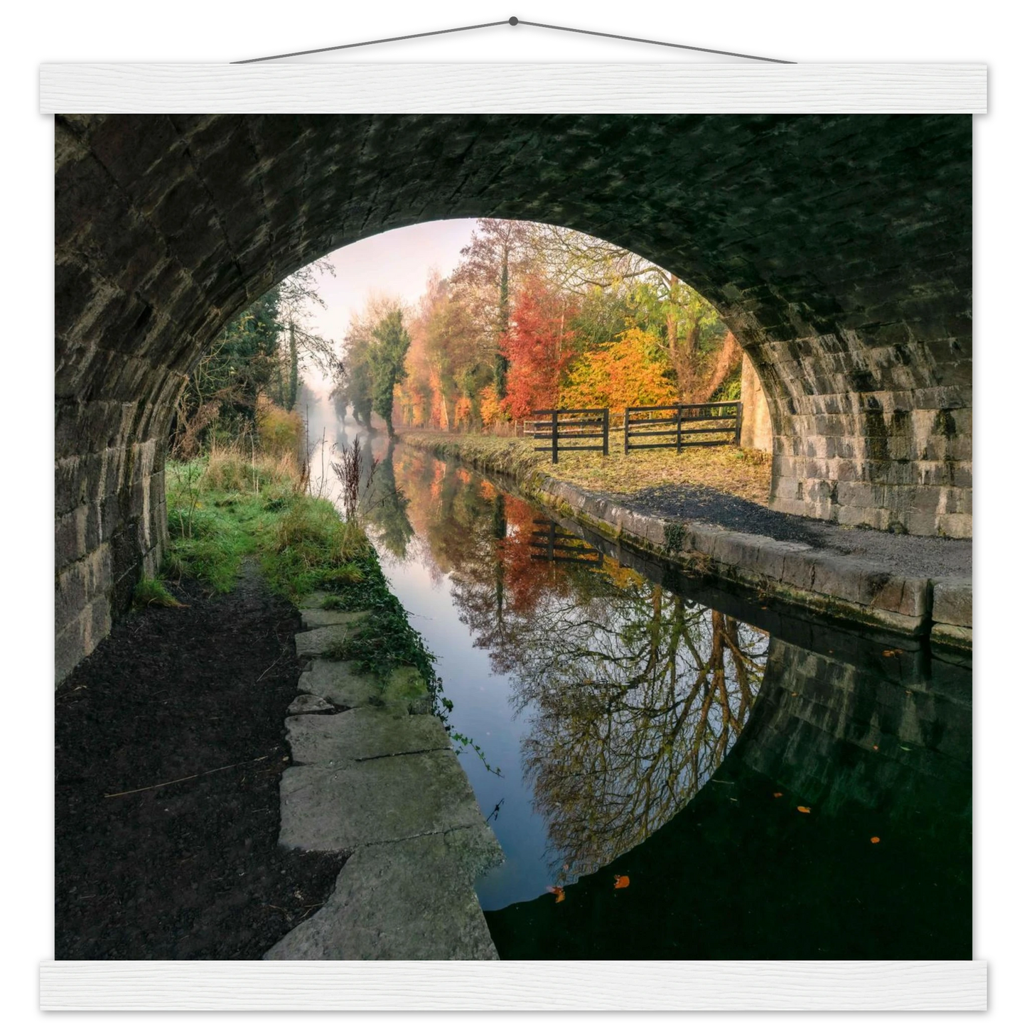 e16221e9-0adc-487d-a9d6-5fc01231c67d