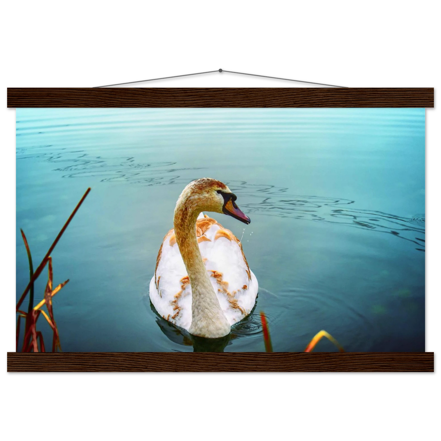 e17162aa-8b95-46a5-b59e-74228ae5d855