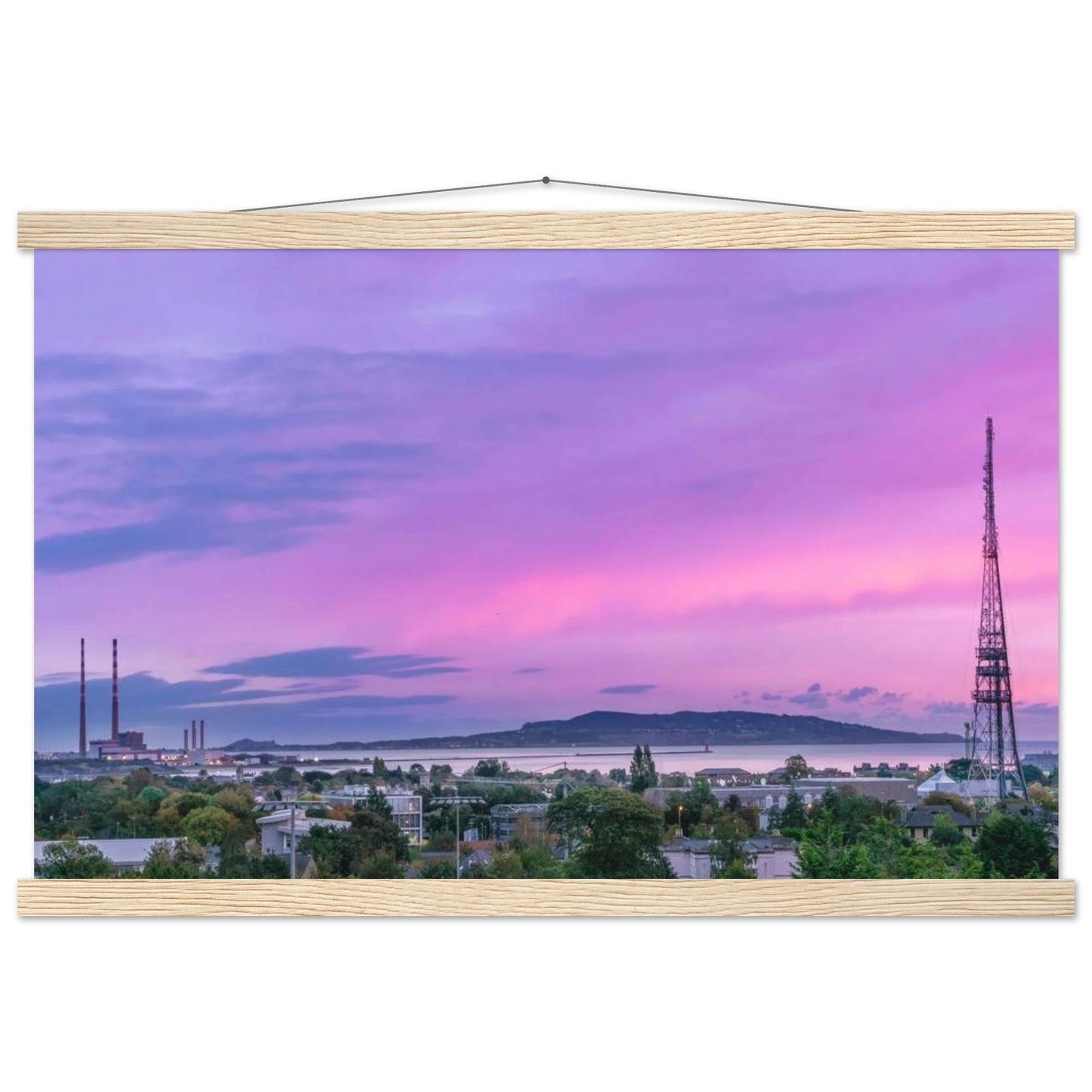 e19dfefd-4ec0-4663-b7f6-790b0bb8b9a4