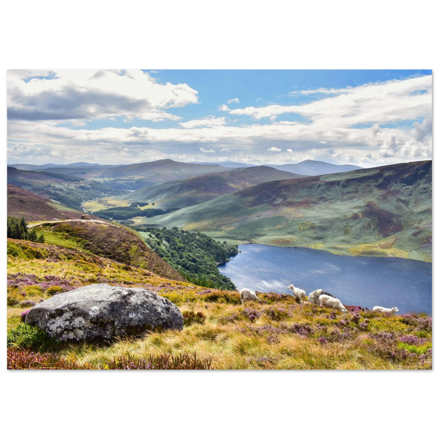 e1c94262-d6a4-4307-ab27-5a66727bf476