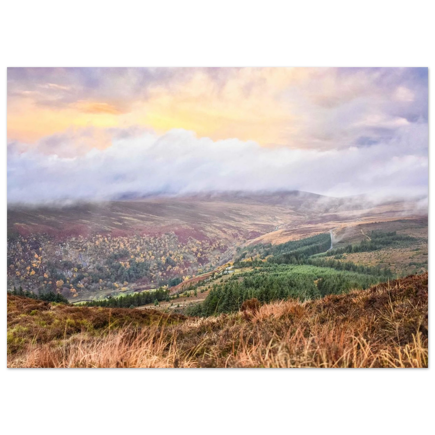 e1fa16b1-a3ea-452b-97dd-5940acb044e0