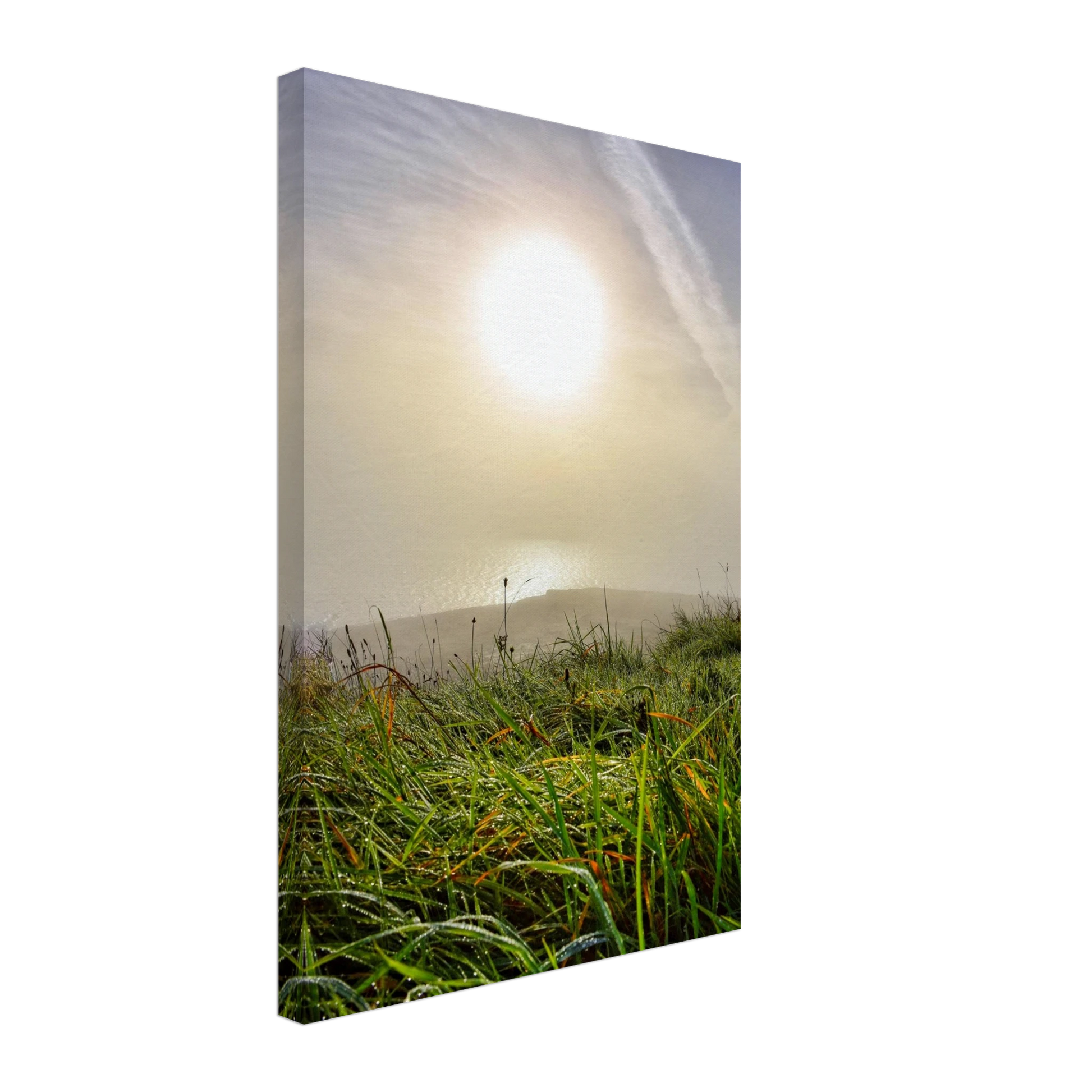 e21f54c1-101c-41ab-88b5-c21266d5e07e