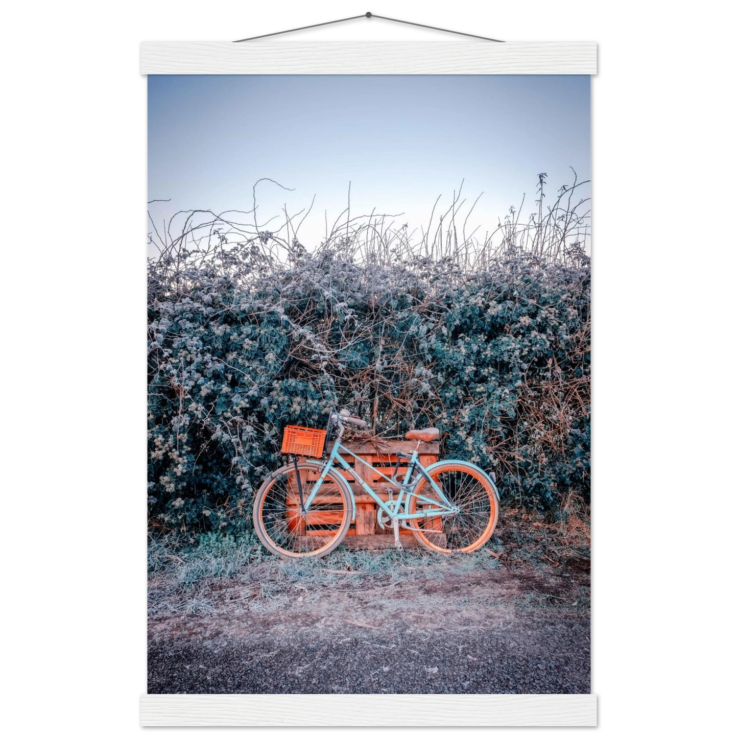 e2b6b7d3-03eb-4164-8d6d-257568876911