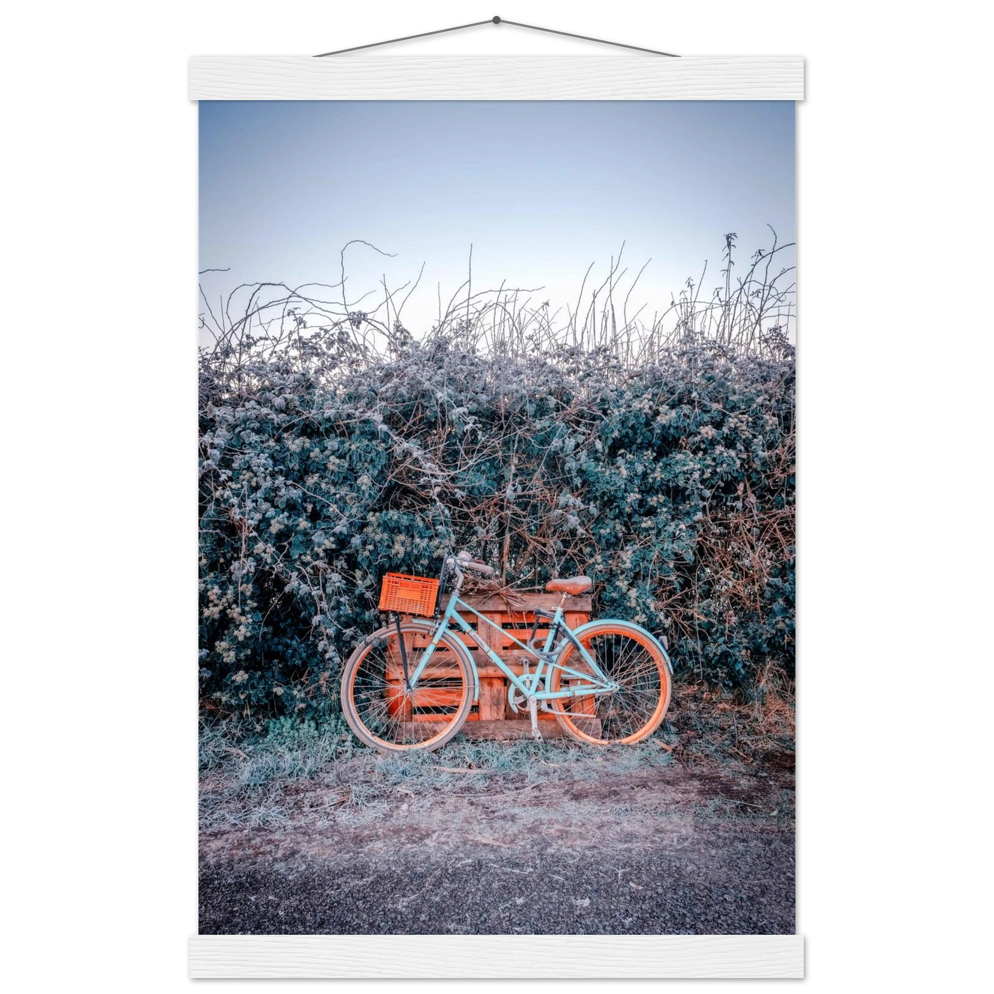 e2b6b7d3-03eb-4164-8d6d-257568876911