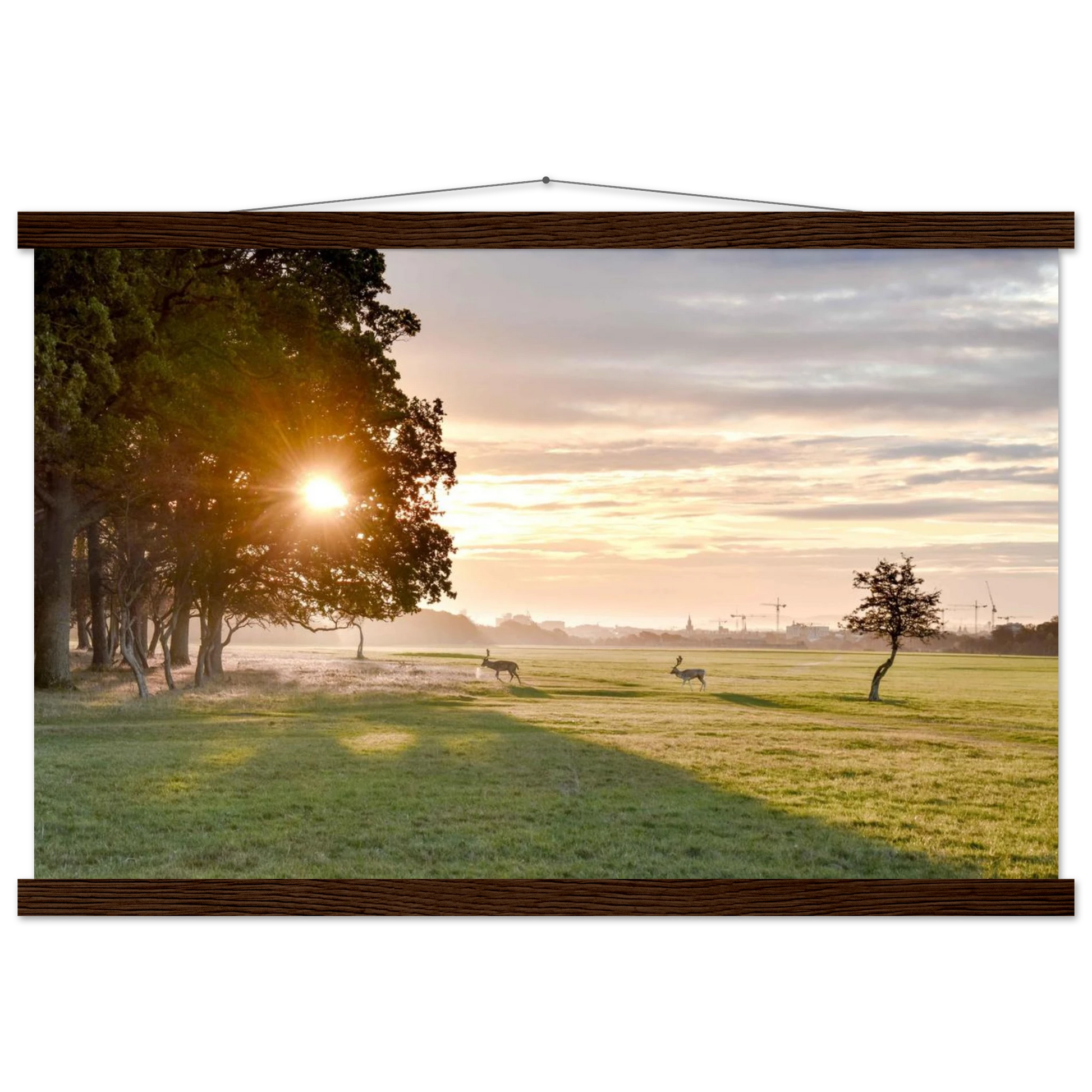 e2ba2bff-fda6-4885-b383-19c4d927232b