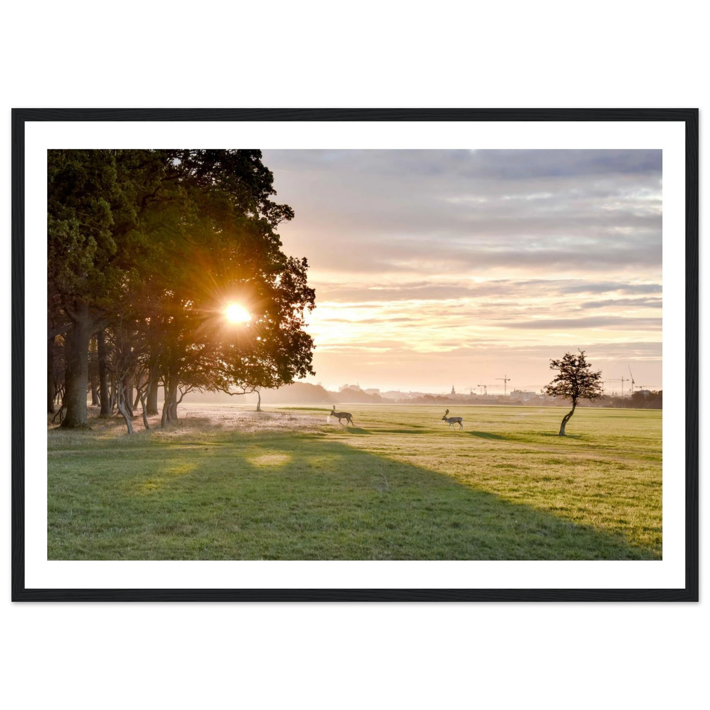 e2bcf2ae-4b7b-4915-accf-fc386ef46546