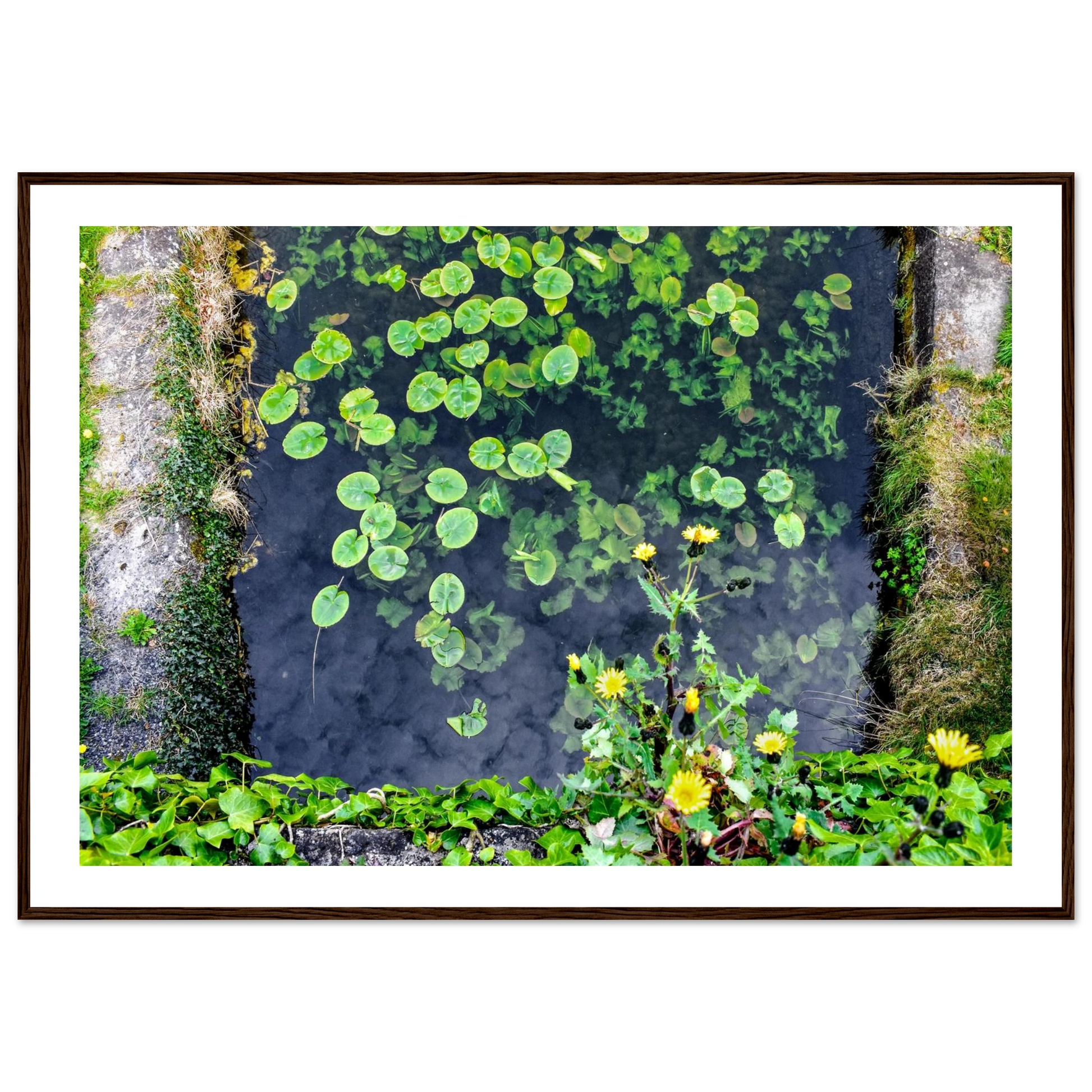 e2c55da6-3d4f-4412-9ce0-5465db9e9f16