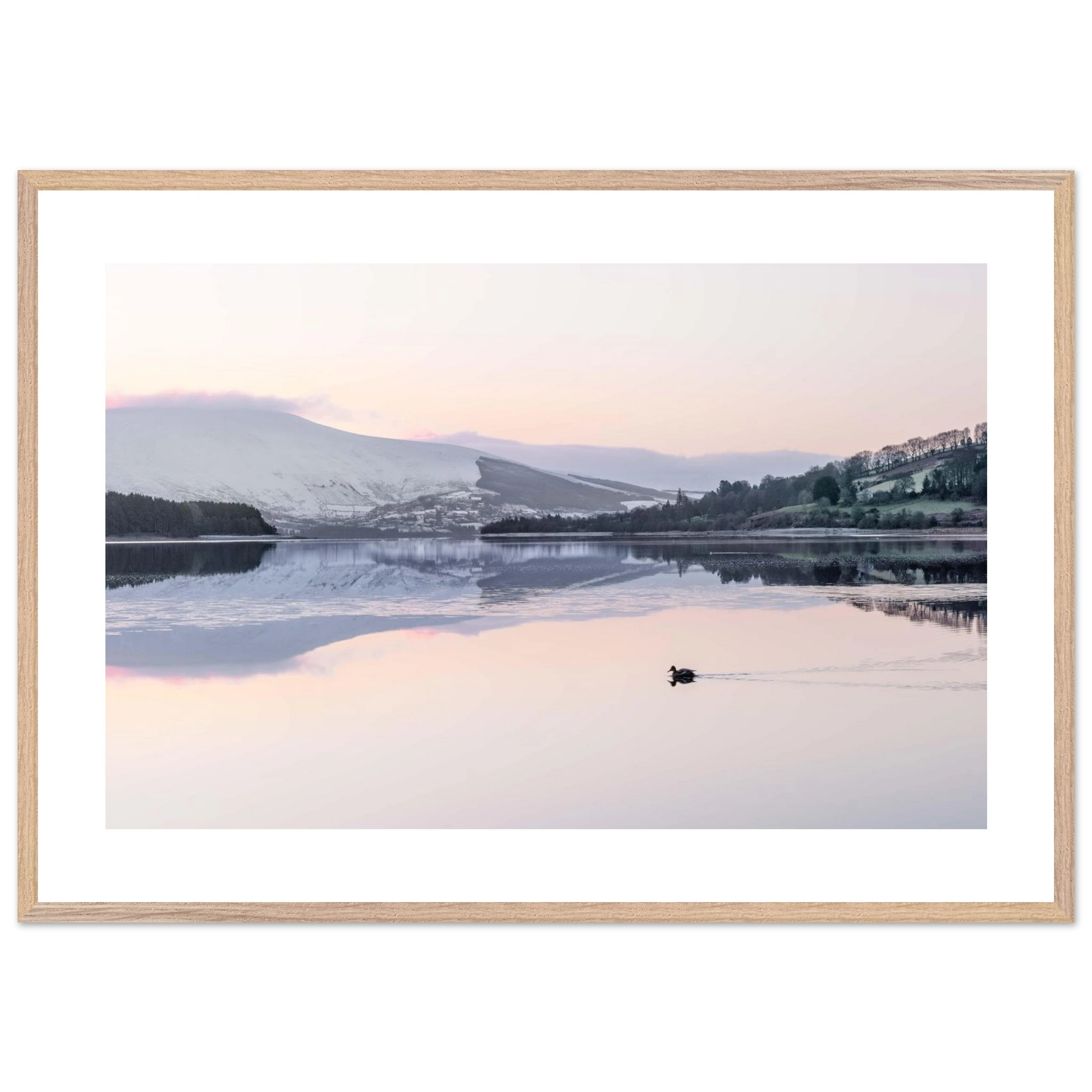 e2d5f8e6-95bb-4b7f-8bd1-f1cc4c347b8a