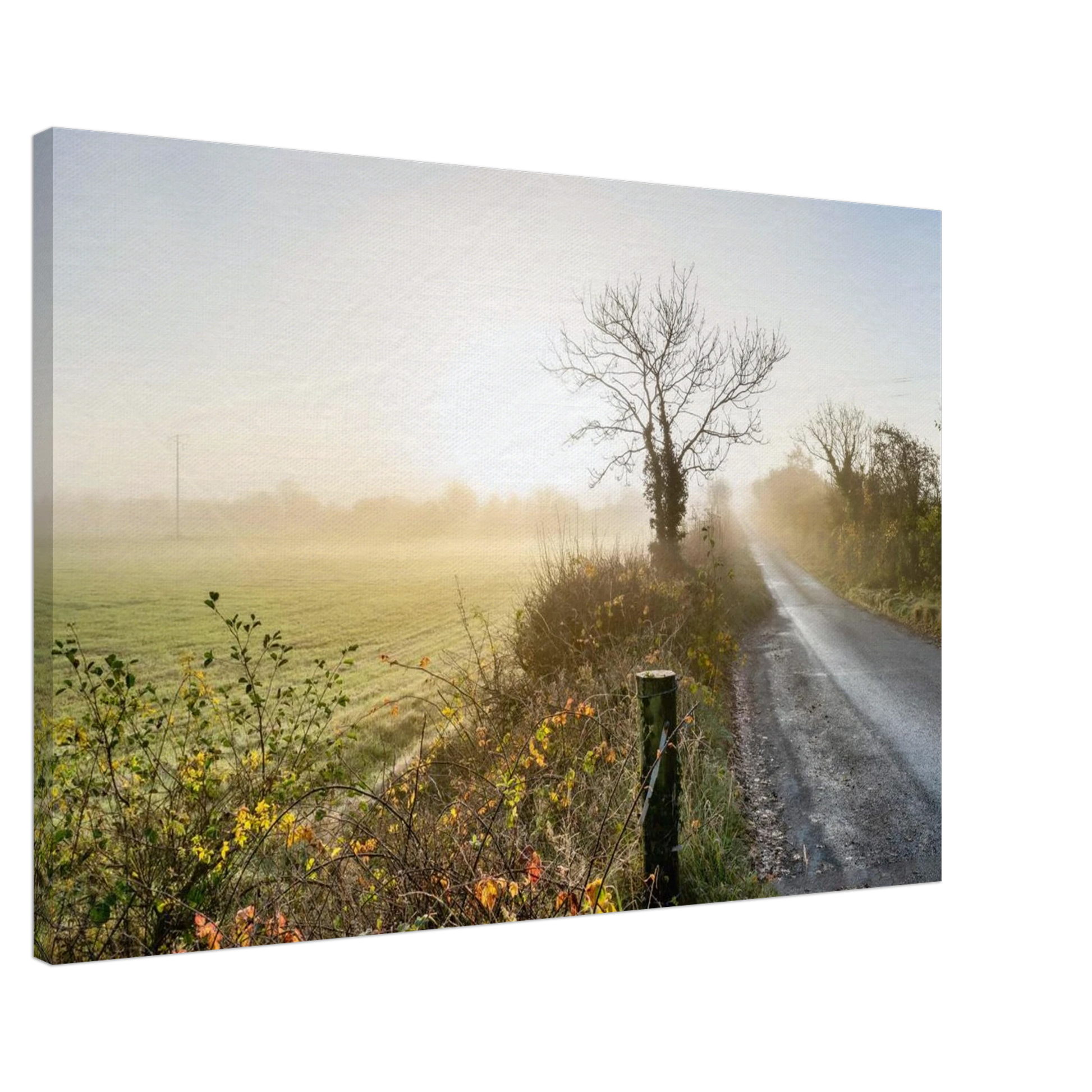 e2f5cd26-6a7b-4331-8dcc-3d0307dc94cd