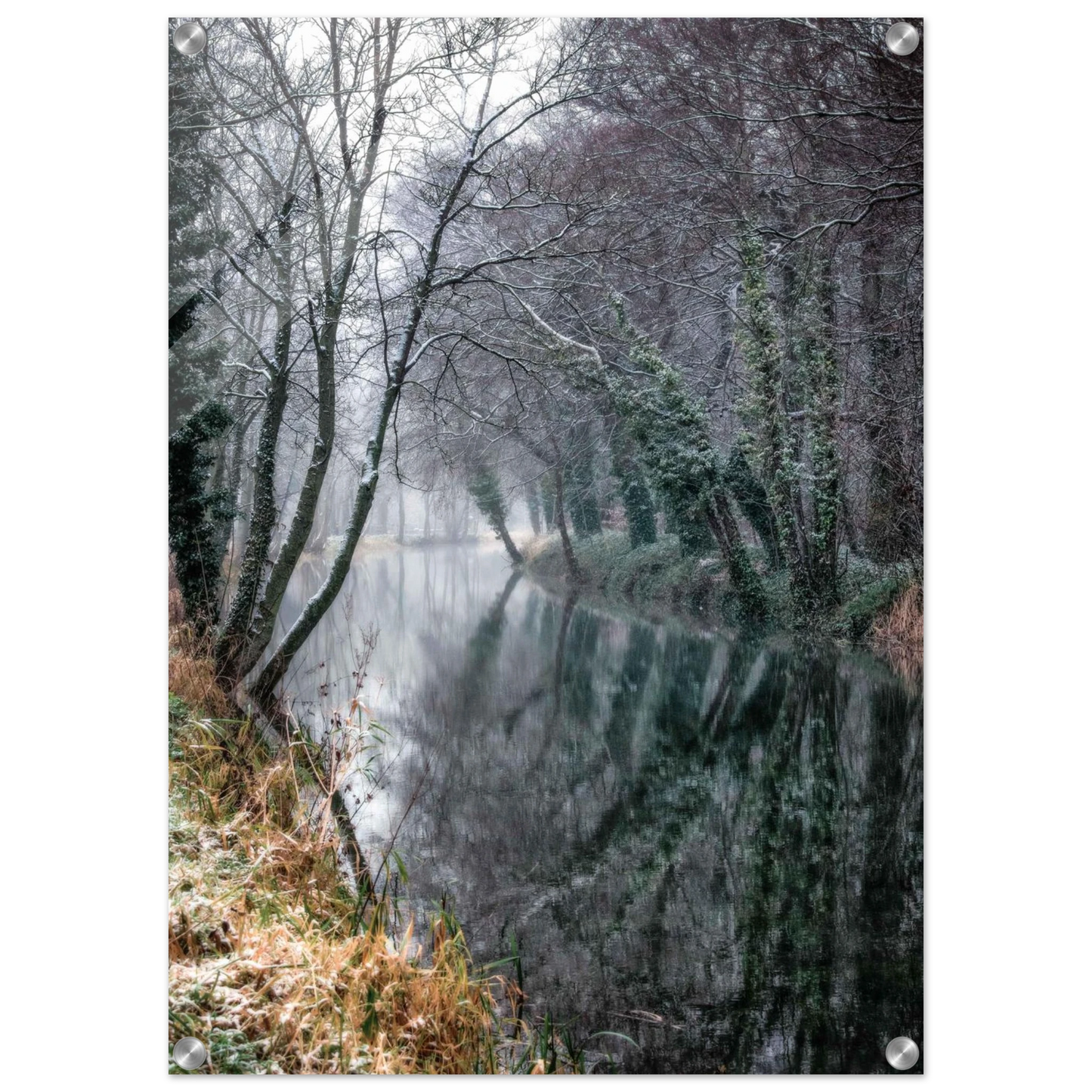 e31c609e-83fa-4631-b8ce-cb4c28b27384