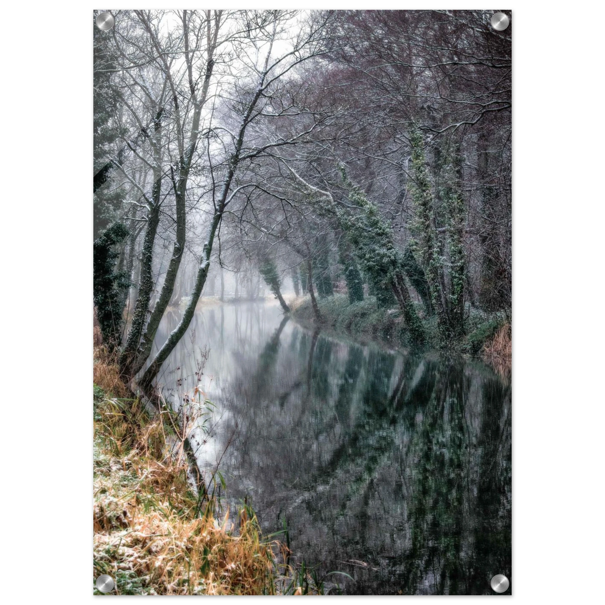 e31c609e-83fa-4631-b8ce-cb4c28b27384