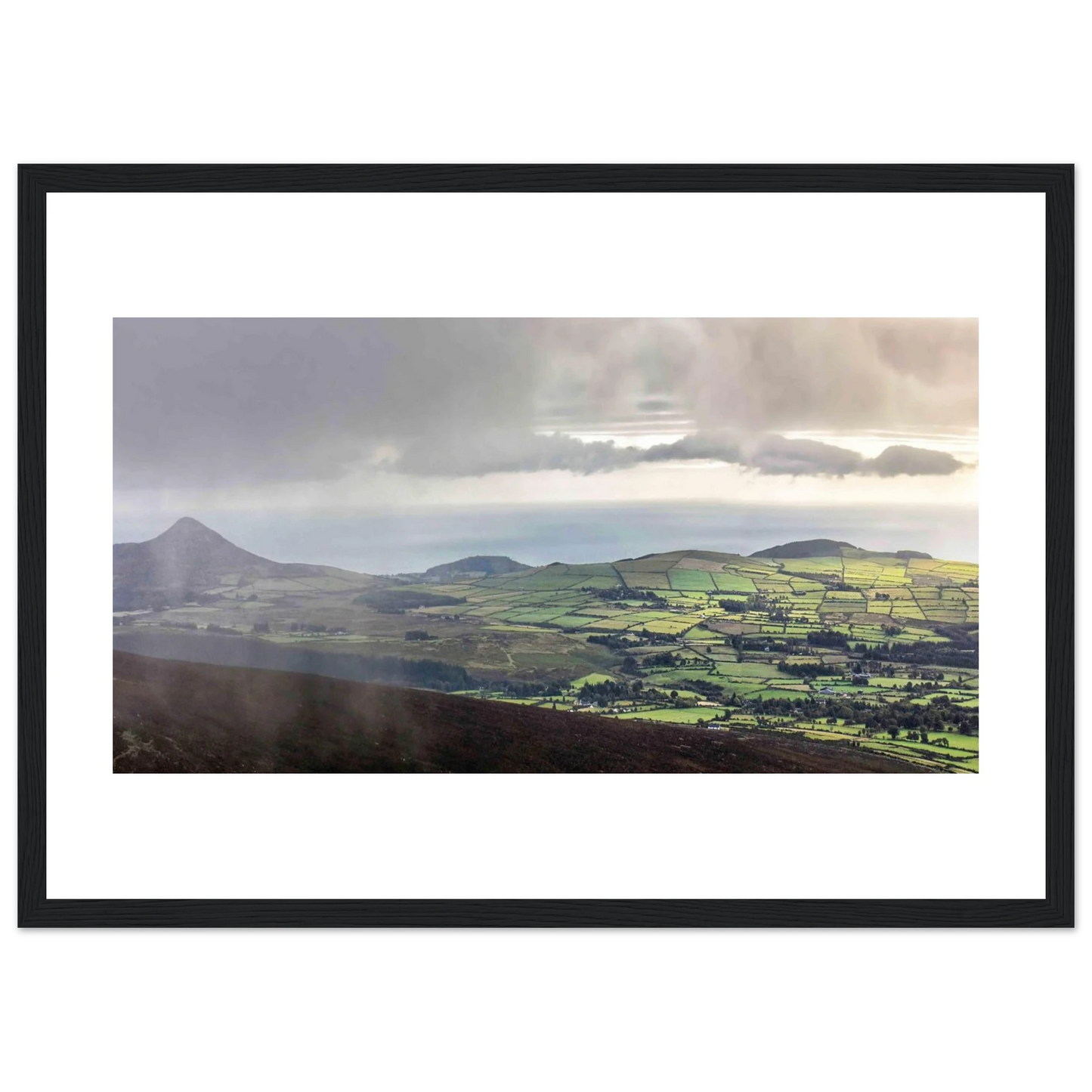 e3423063-387a-4d6a-8d34-375663bdc016