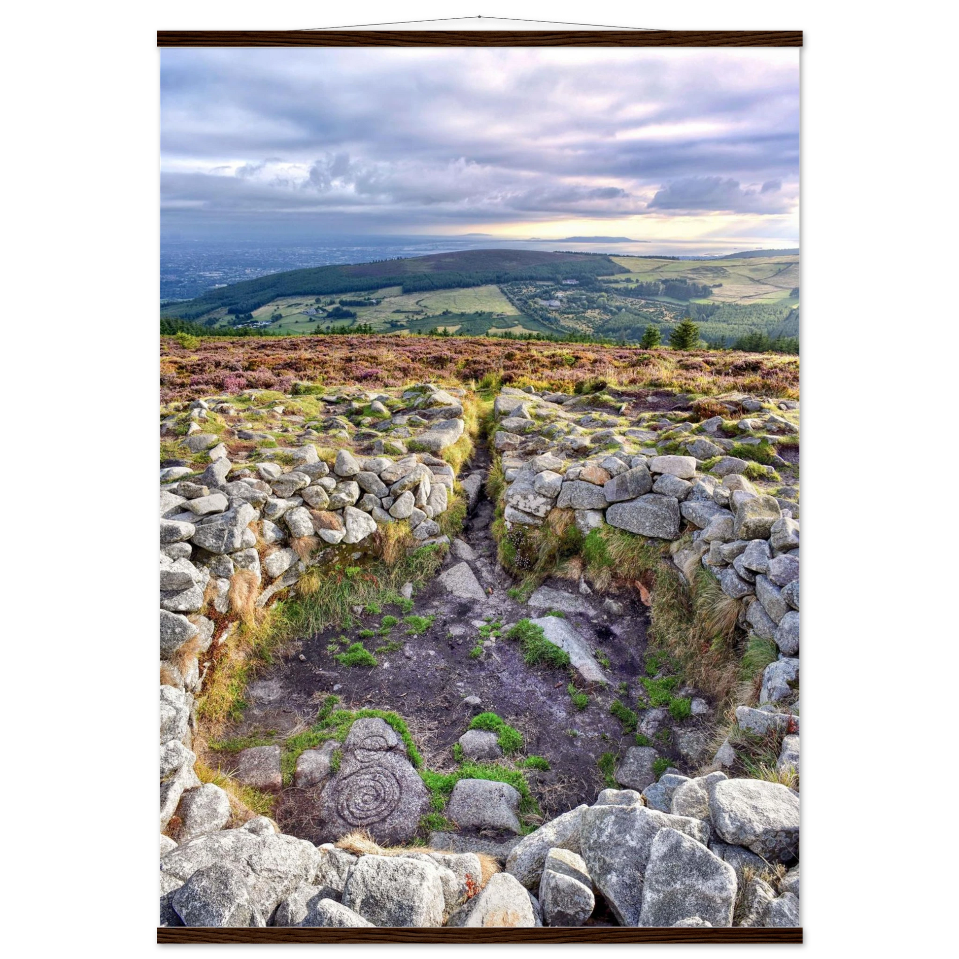 e36c34b6-84a2-44f4-9a47-4b9bbef4c95c