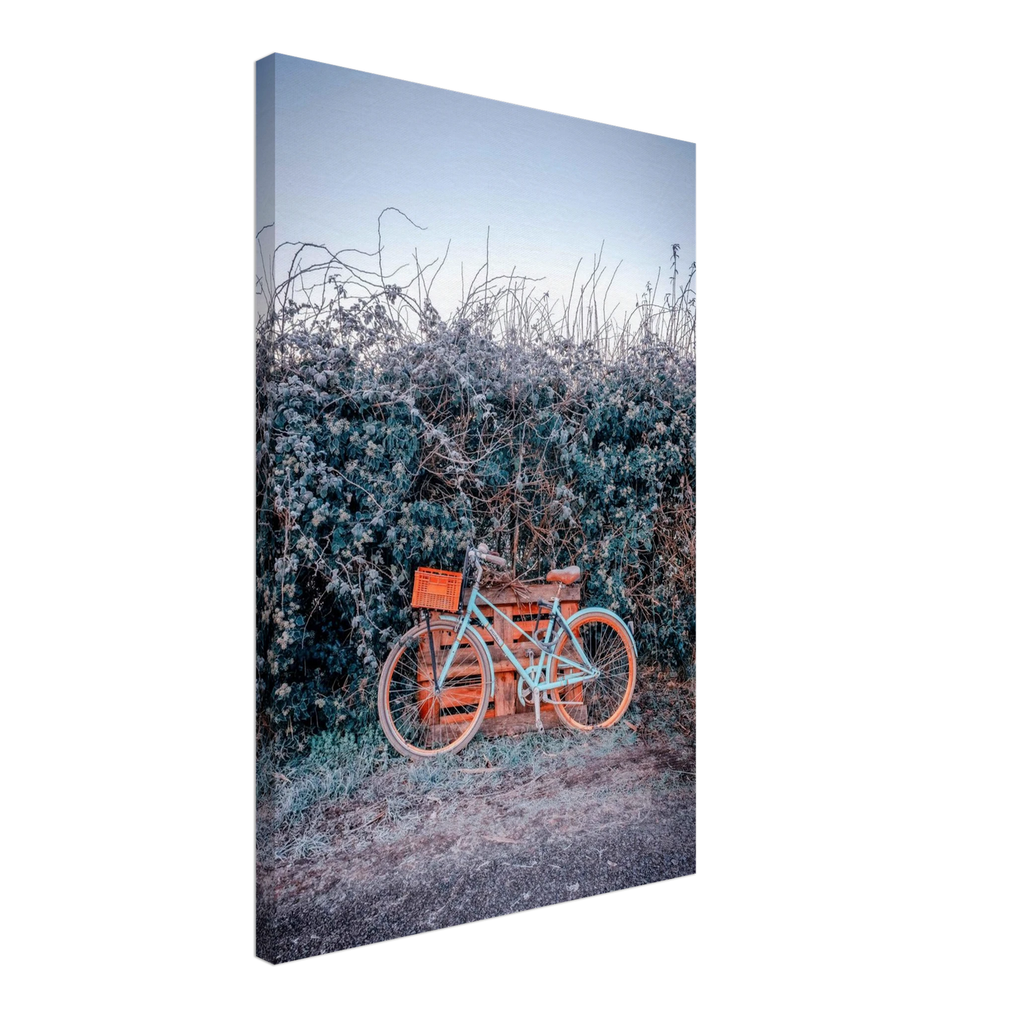 e37fb080-7c98-465c-9974-39cf3c7b79b3