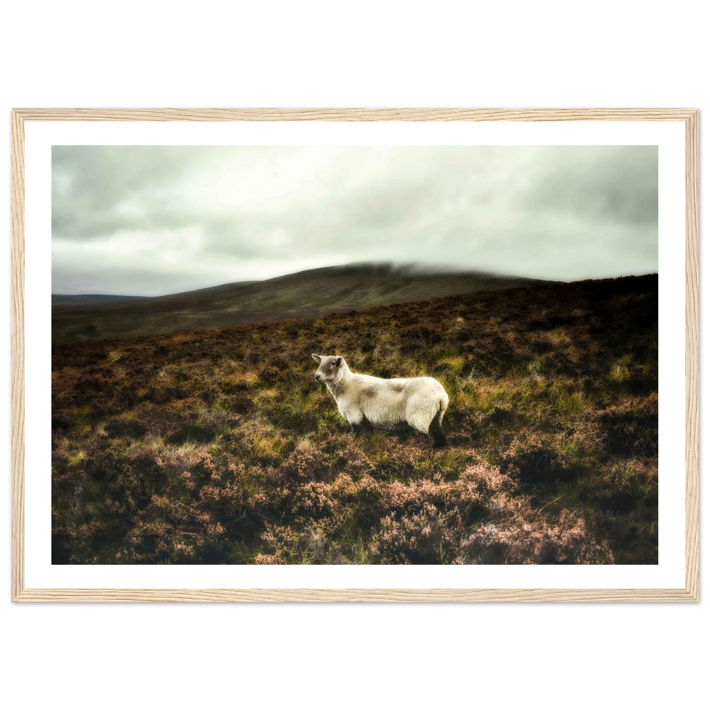 e3c6d317-7c72-424c-b674-f5279316b3c1