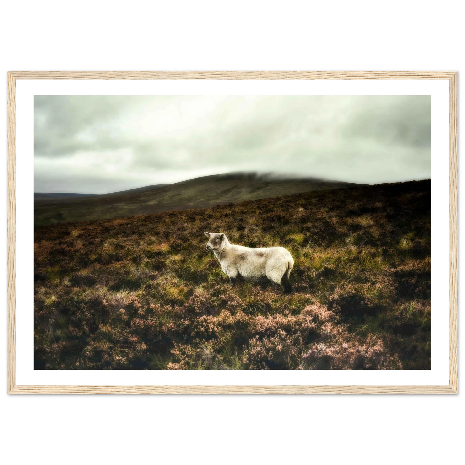 e3c6d317-7c72-424c-b674-f5279316b3c1