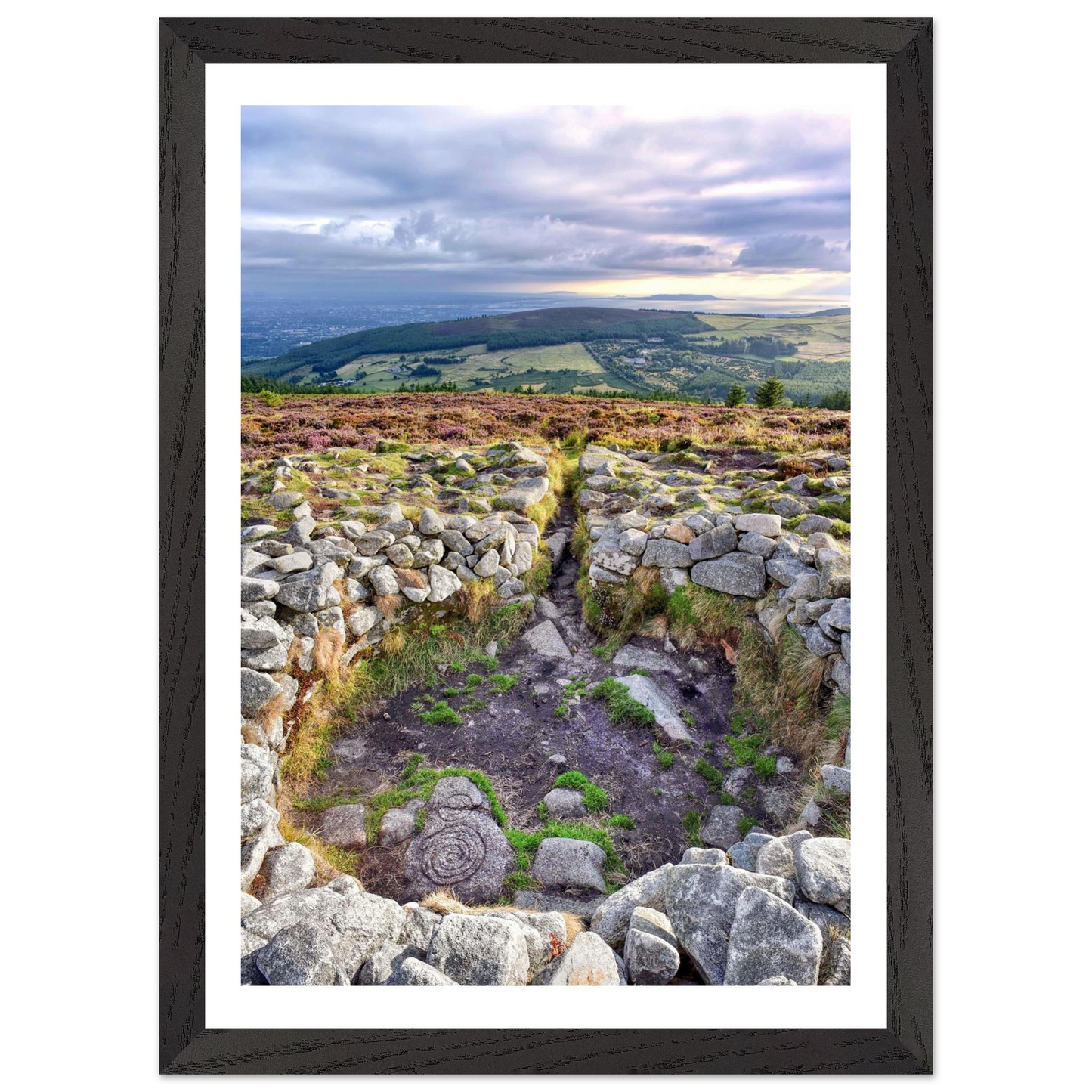 e45422ac-63f5-4efc-af4d-032d03c1d346