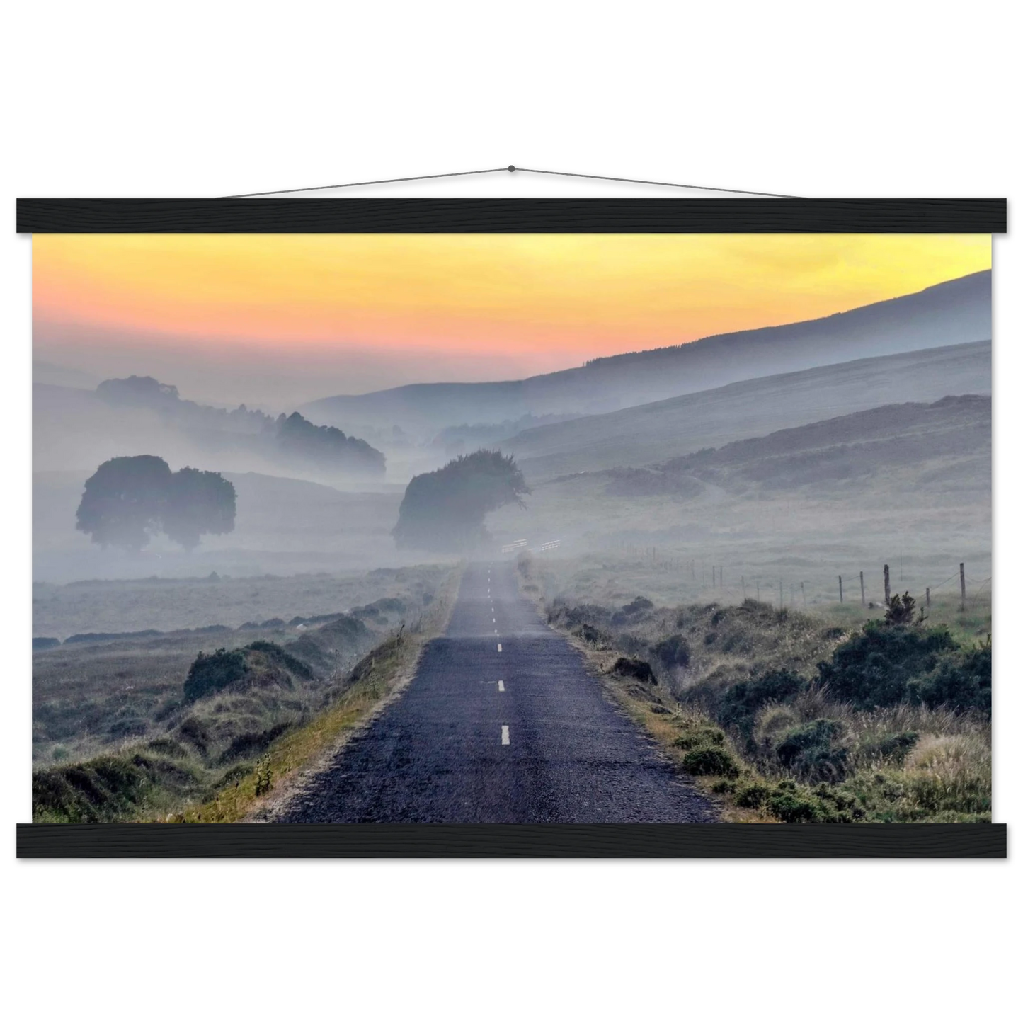 e49d3cde-8874-4664-b87a-0454c4444111