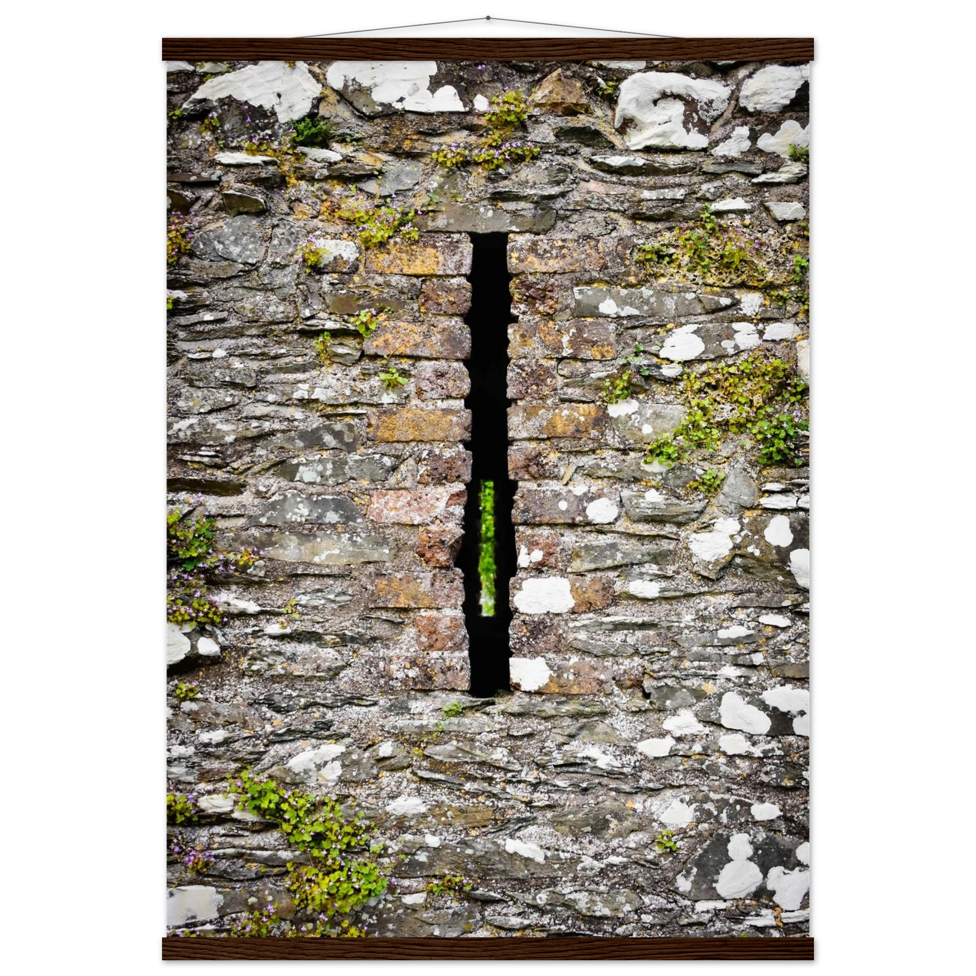 e4ad130b-0031-4b8e-8dd1-43d9bdfb869a