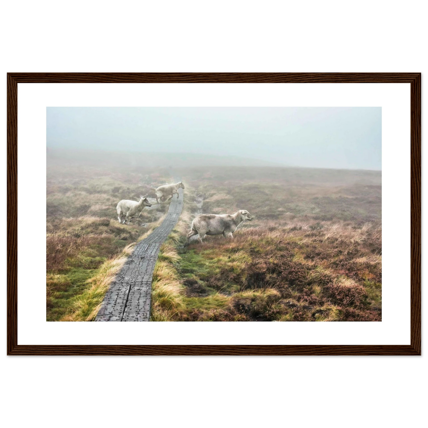 e4fa1219-aa61-4805-95b8-2b90edc4e10c