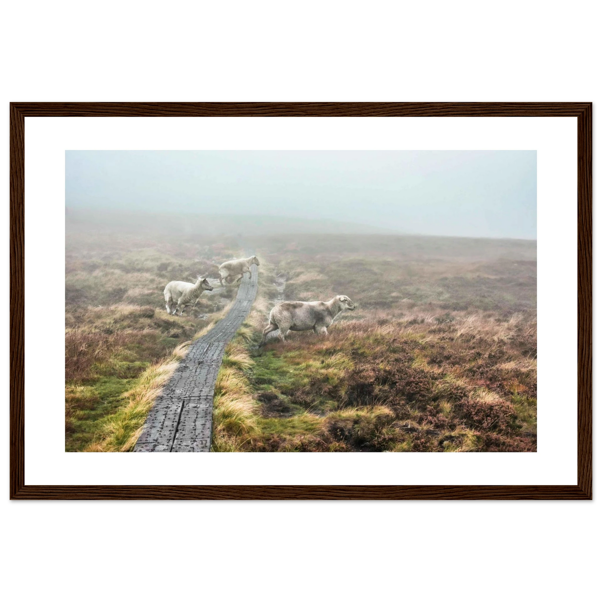 e4fa1219-aa61-4805-95b8-2b90edc4e10c