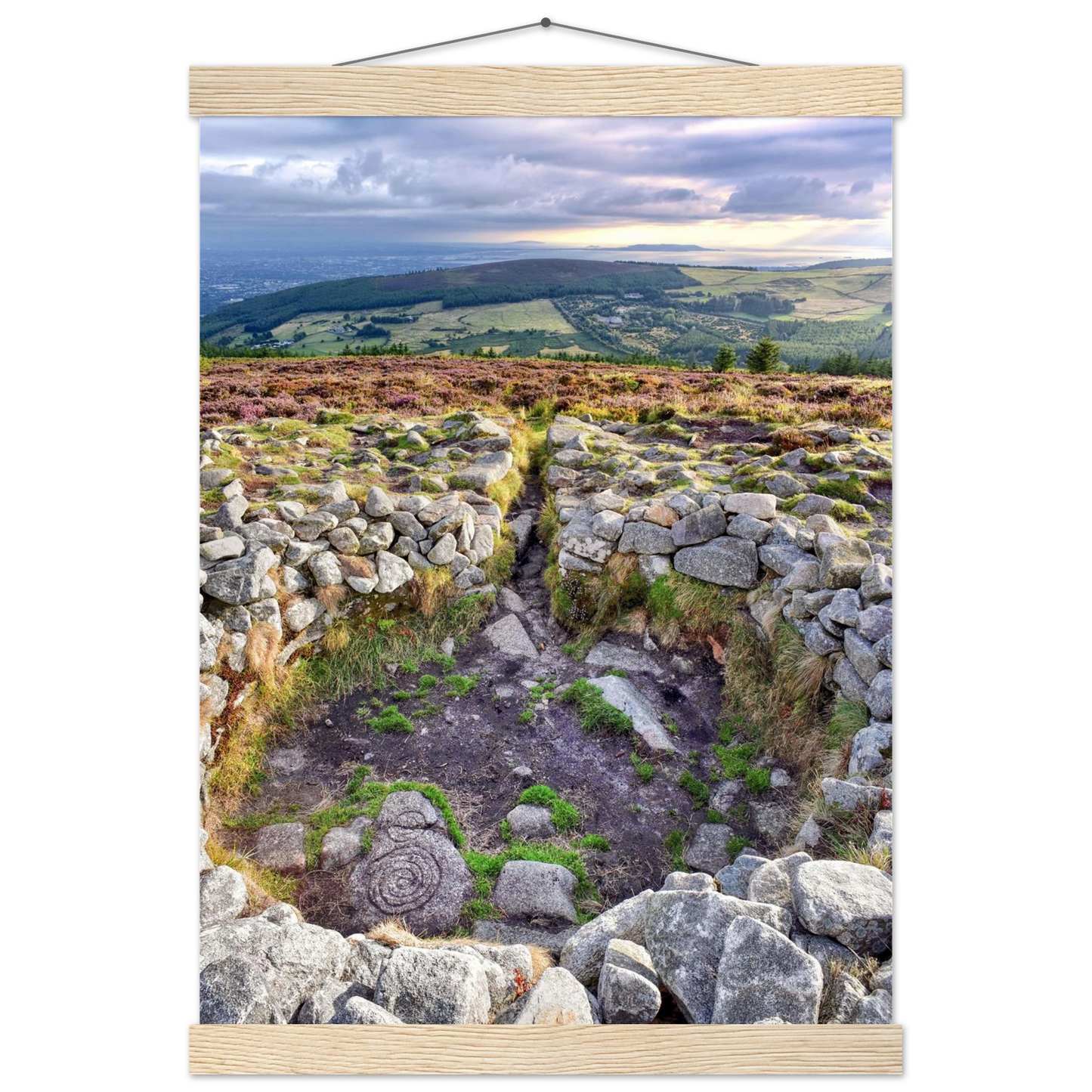 e51468ee-ec24-4eb6-8666-6117771c9220