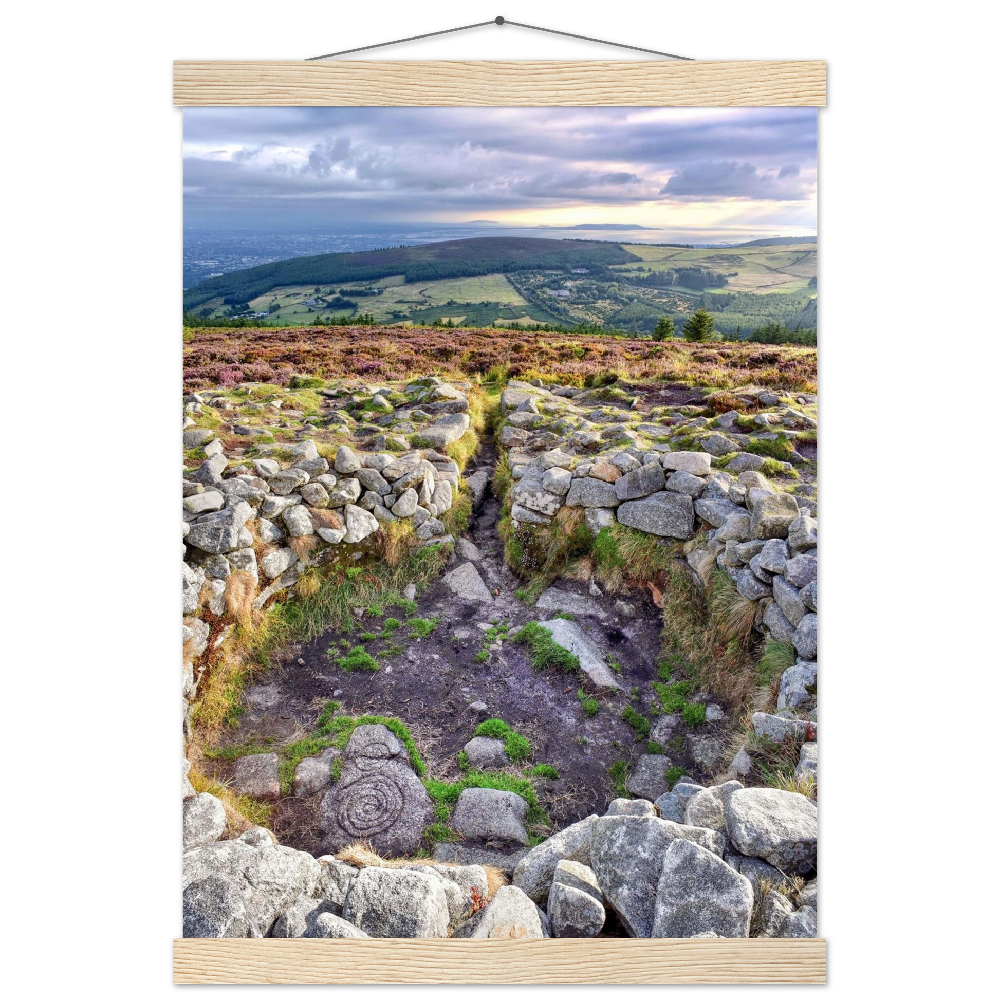 e51468ee-ec24-4eb6-8666-6117771c9220