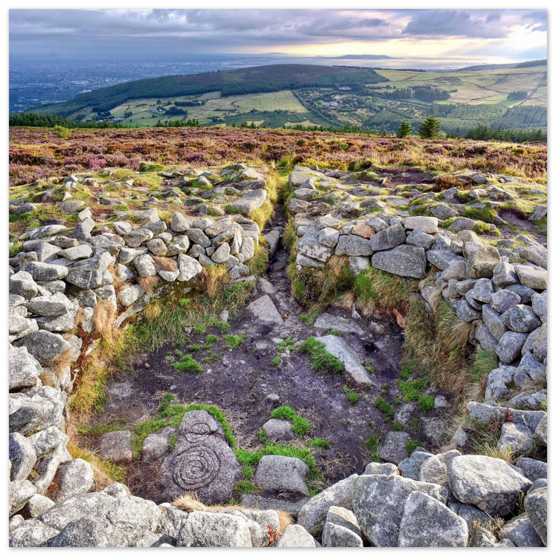 e51ca8fd-d62d-47f1-8795-fe8be3c03a47