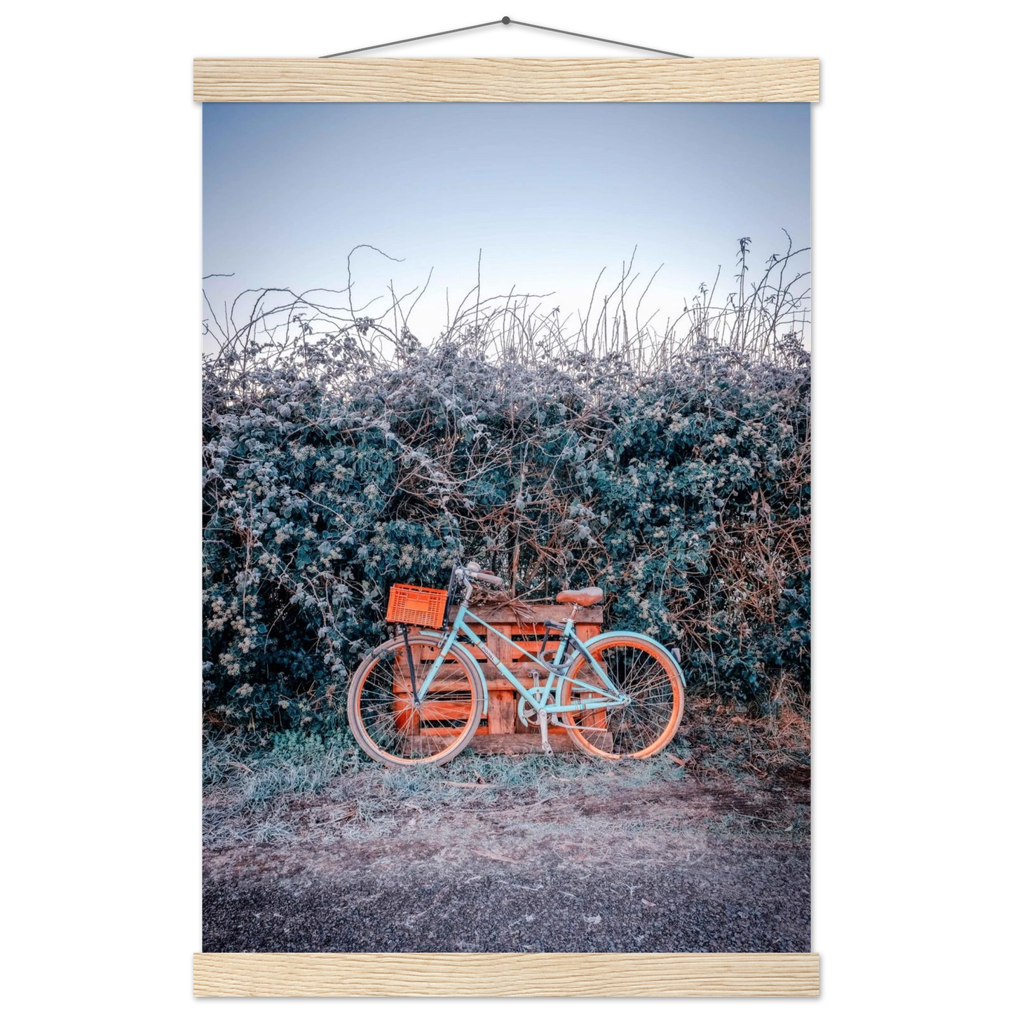 e59067d3-d7fb-4623-ac5a-a7eeac1824da