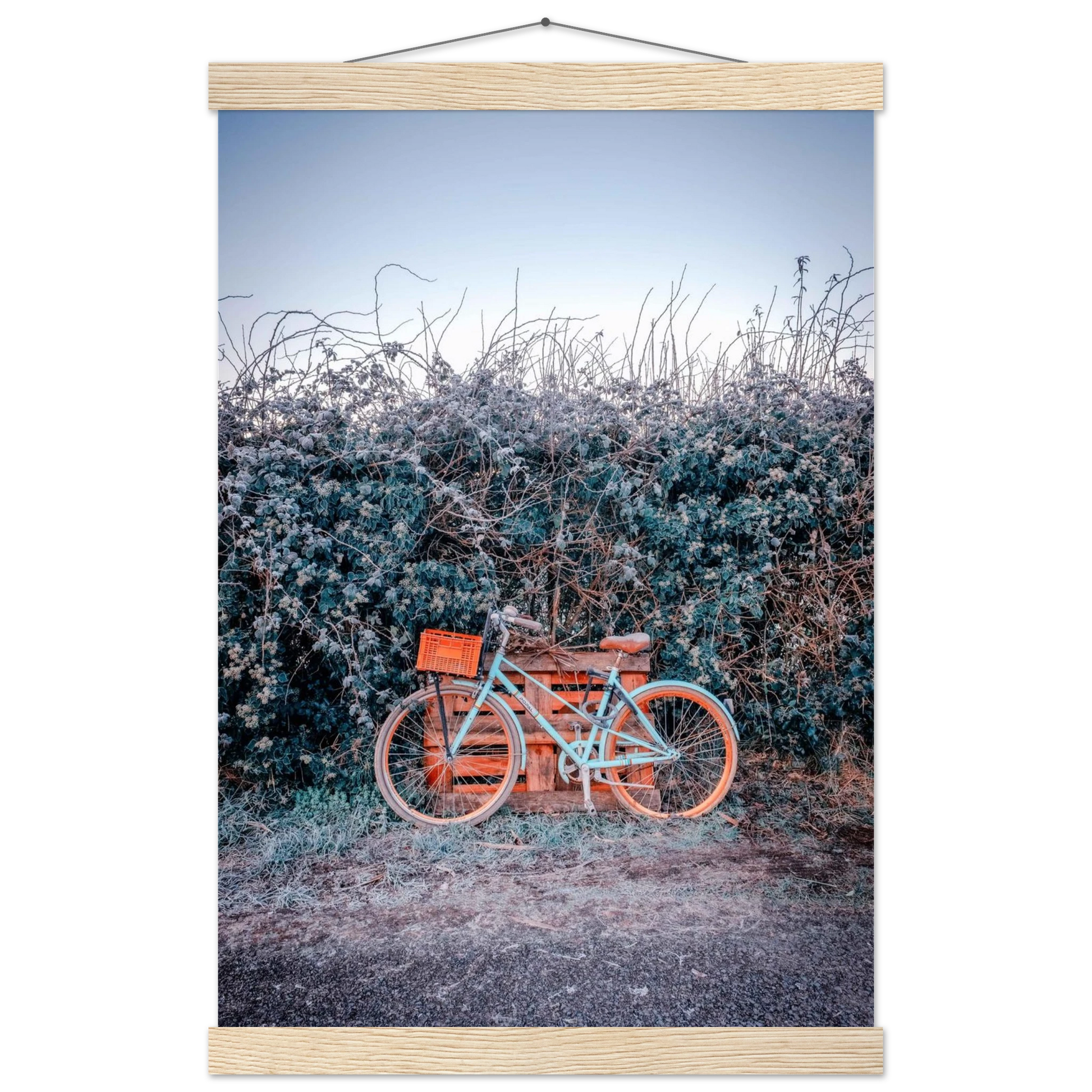 e59067d3-d7fb-4623-ac5a-a7eeac1824da