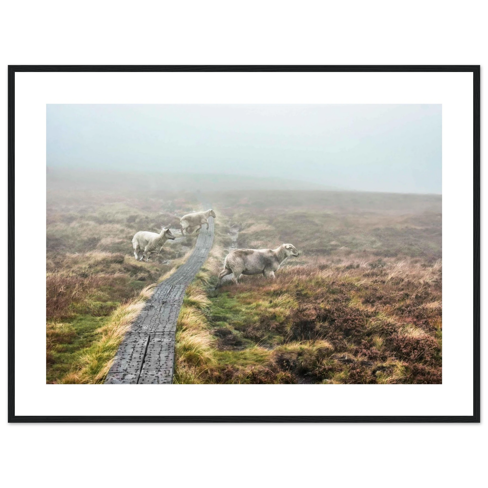 e6408838-9951-4acd-9dc6-eb76c4233e04