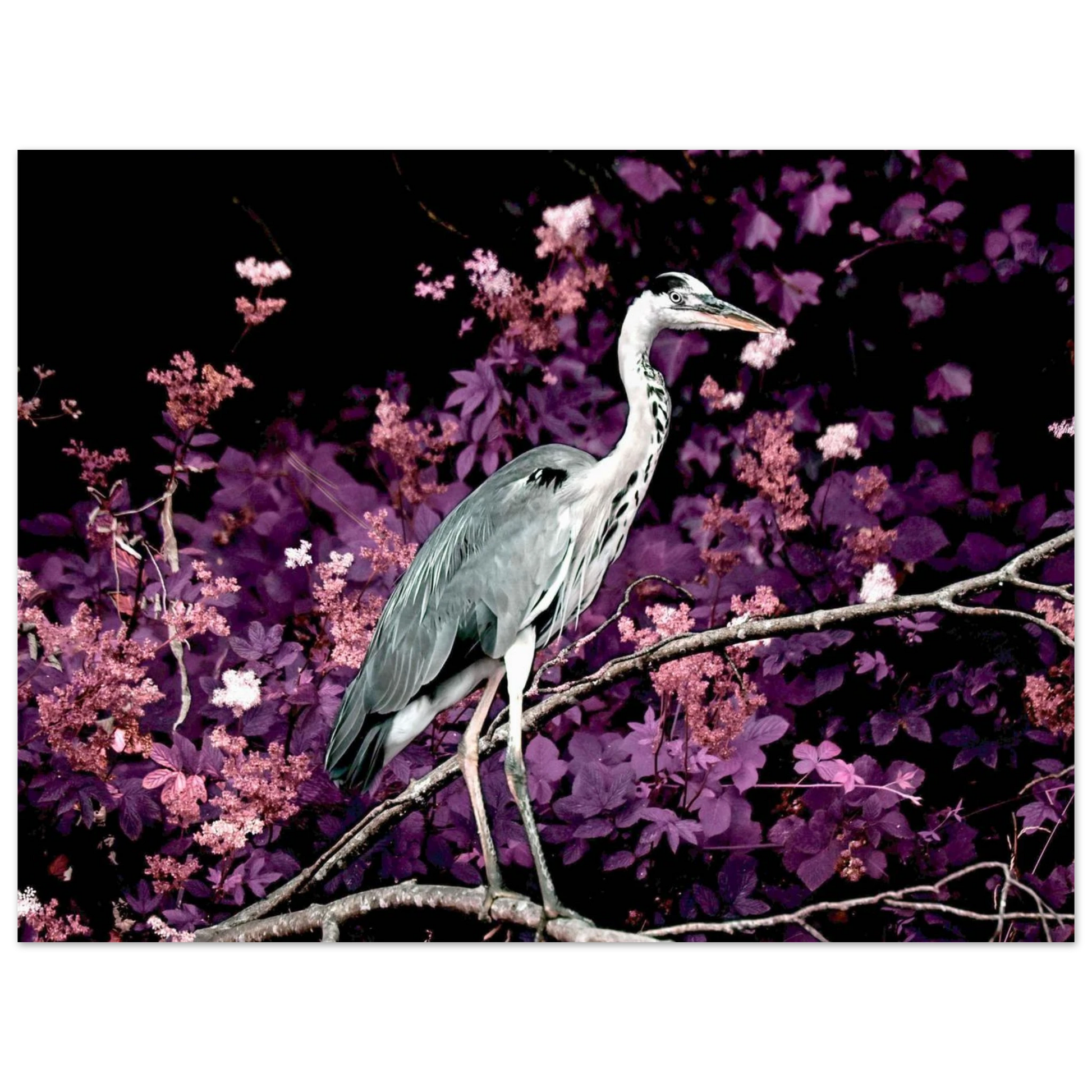 e6ac04b4-2353-43cd-8d9a-7cbf6ca5484c