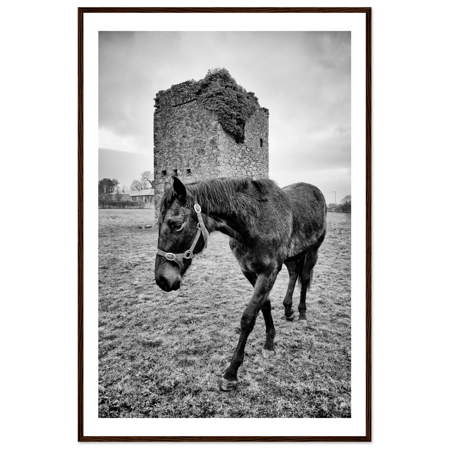 e6c43454-47ce-4e17-8653-31f069eb0150