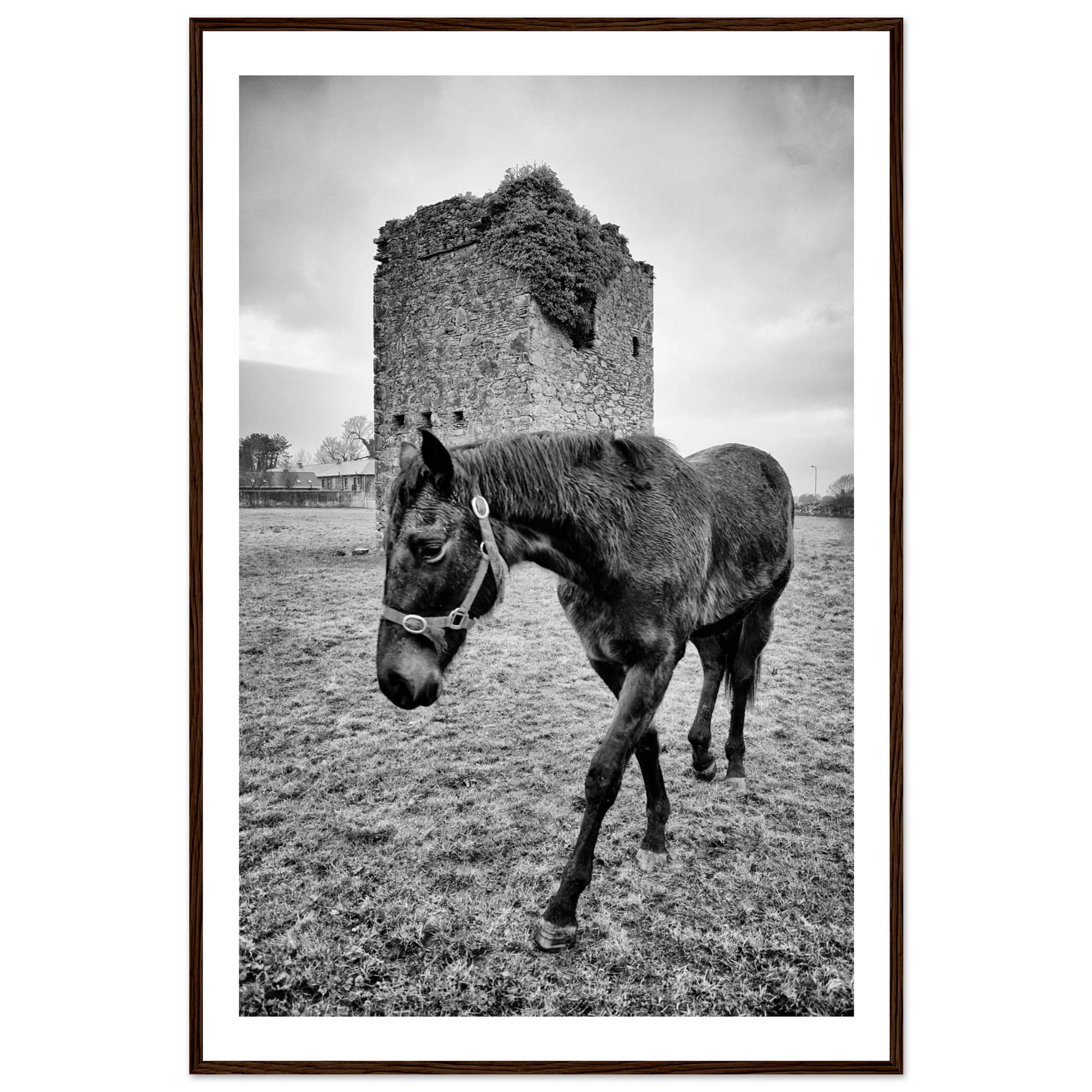 e6c43454-47ce-4e17-8653-31f069eb0150