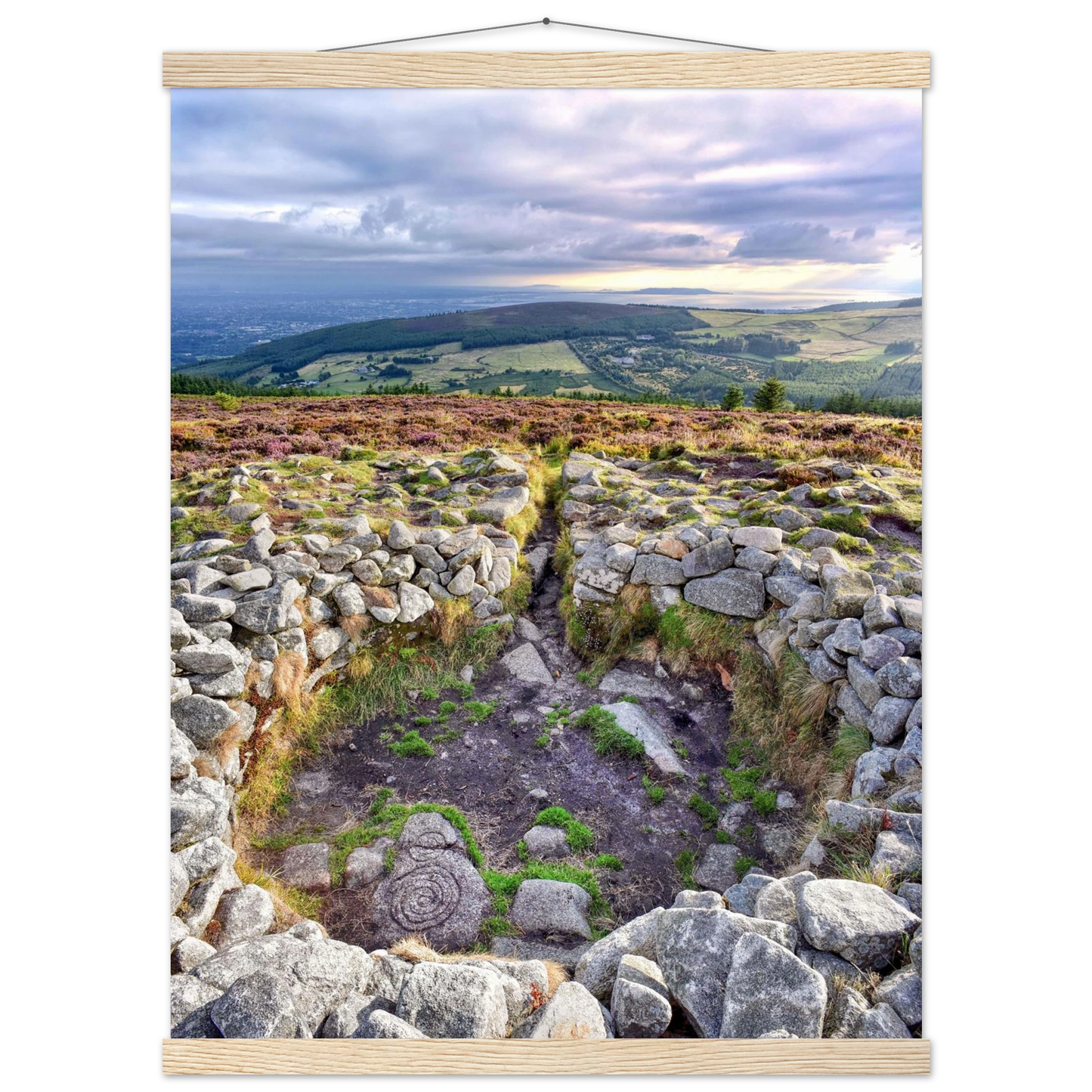 e7050203-ad70-41da-9c19-58fe8fa6e7e6