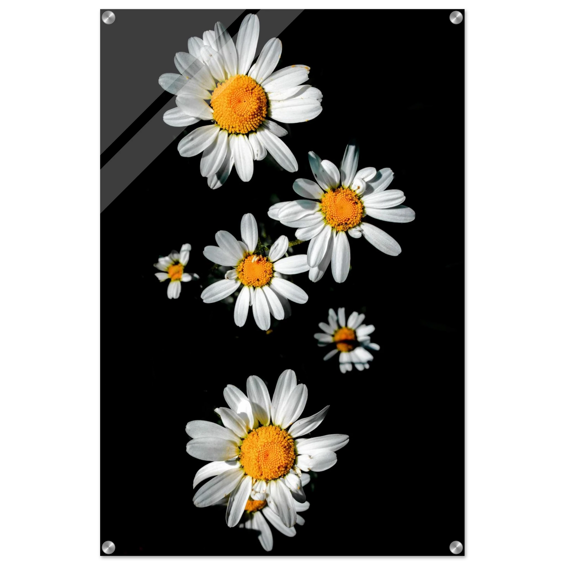 e728c3f8-2412-495d-9619-5cf76cdb2c6c