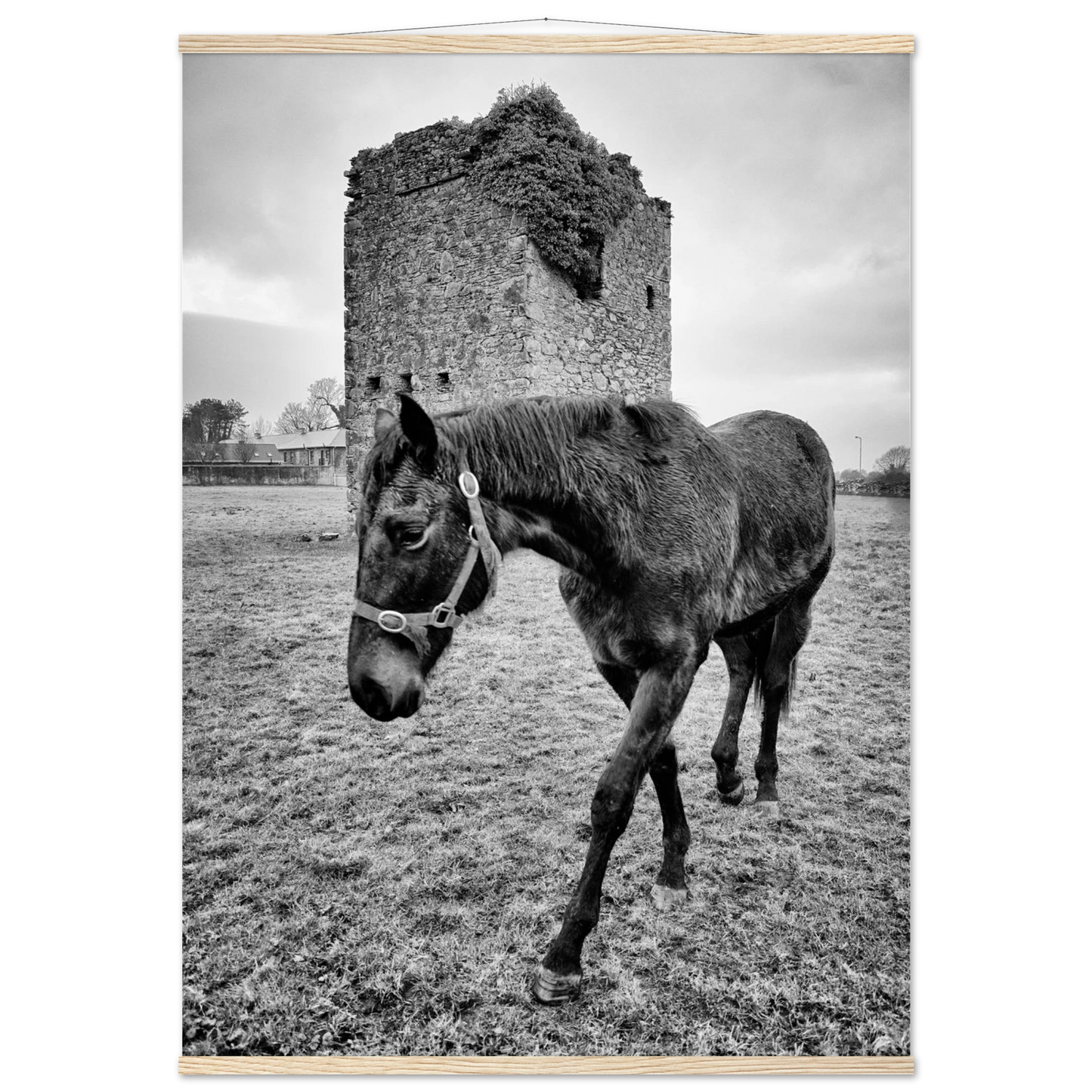 e7fee5a5-1a79-40cb-bbc7-13c034b62188