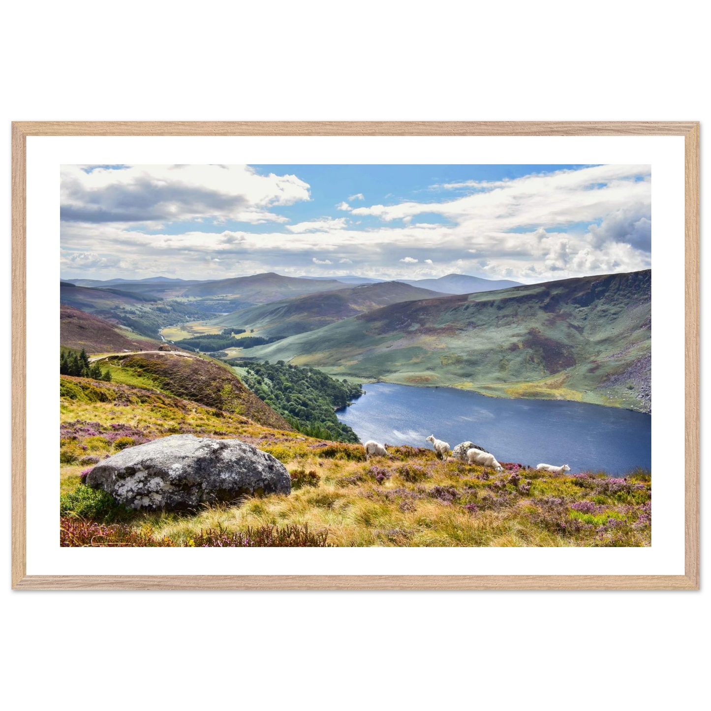 e8067dc5-e1cb-4023-bb72-b52f95db650f