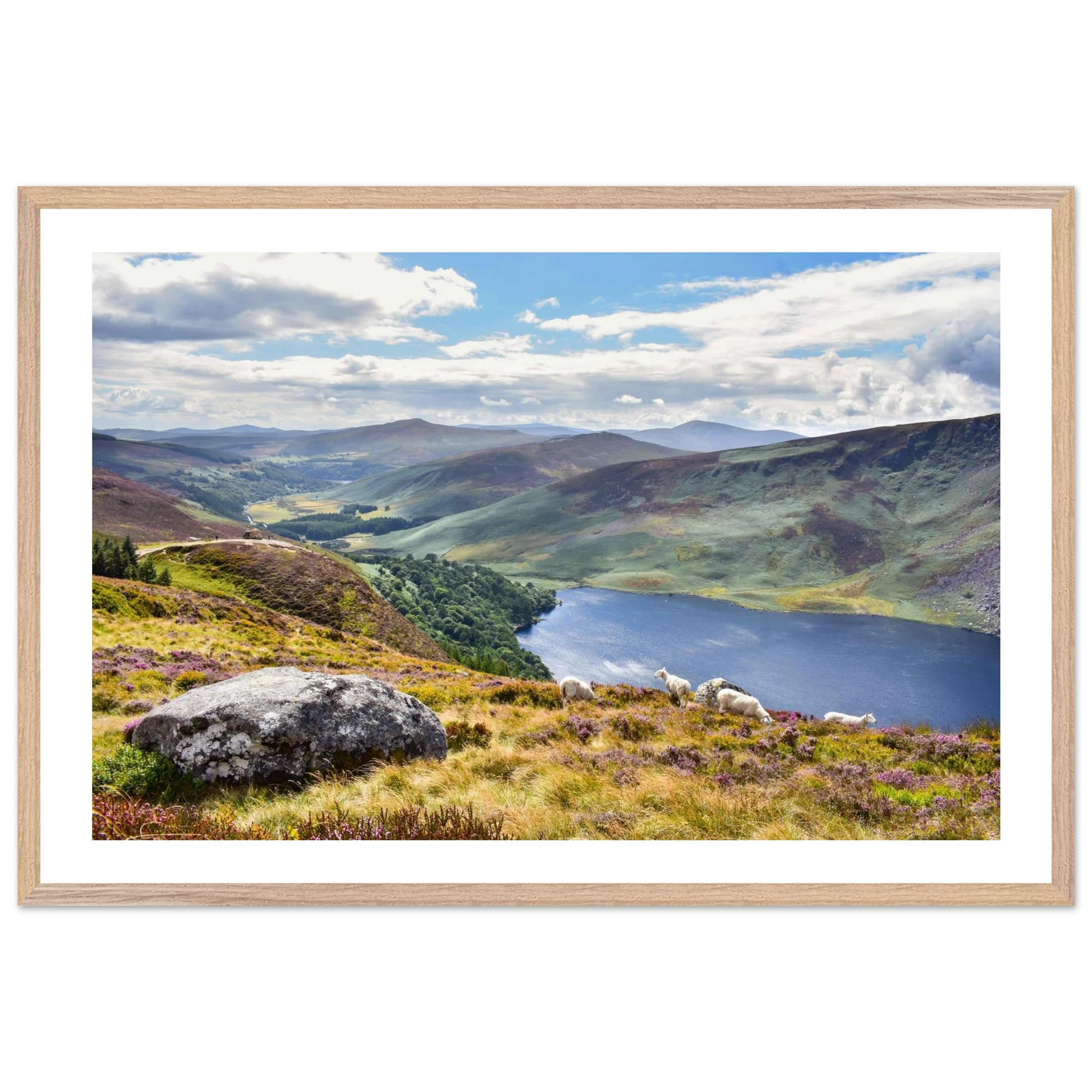 e8067dc5-e1cb-4023-bb72-b52f95db650f