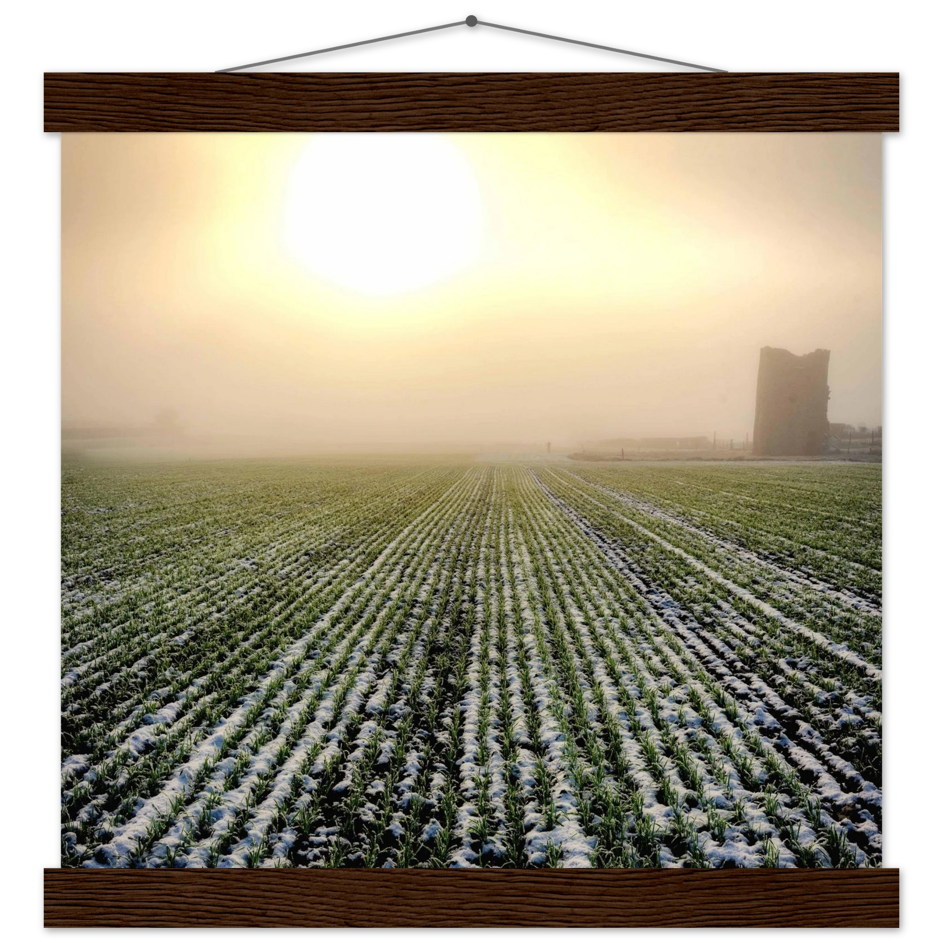 e8112311-ad68-4920-a8db-4a644b377611