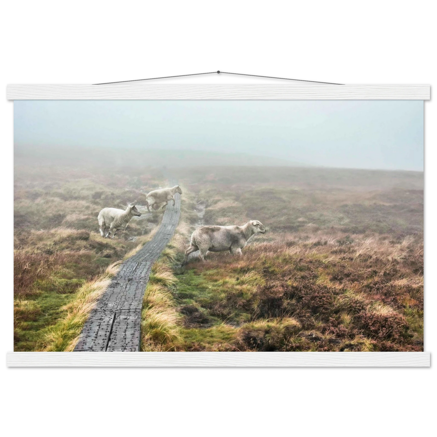 e8556087-ddc5-4879-ada6-7bf83504b412