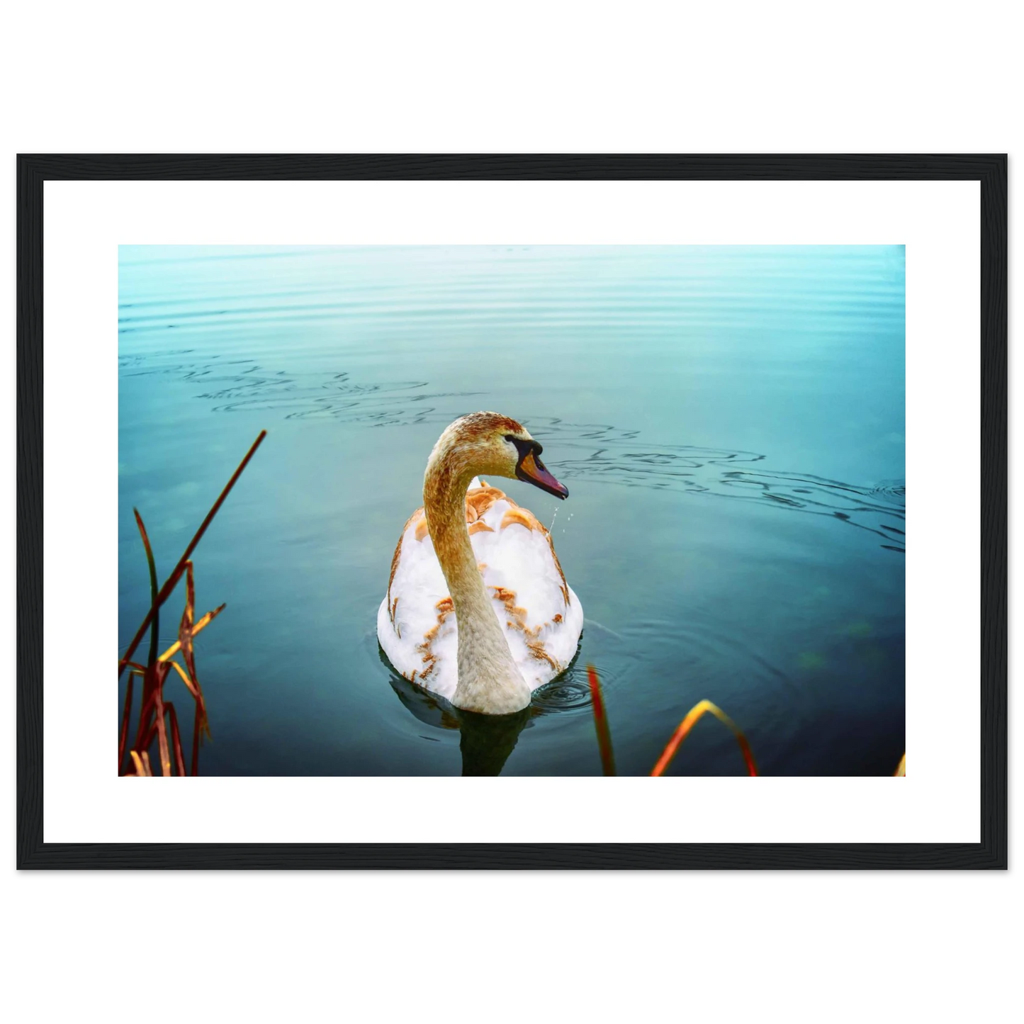 e859842d-a582-4078-b1b5-4accd2d80e8e