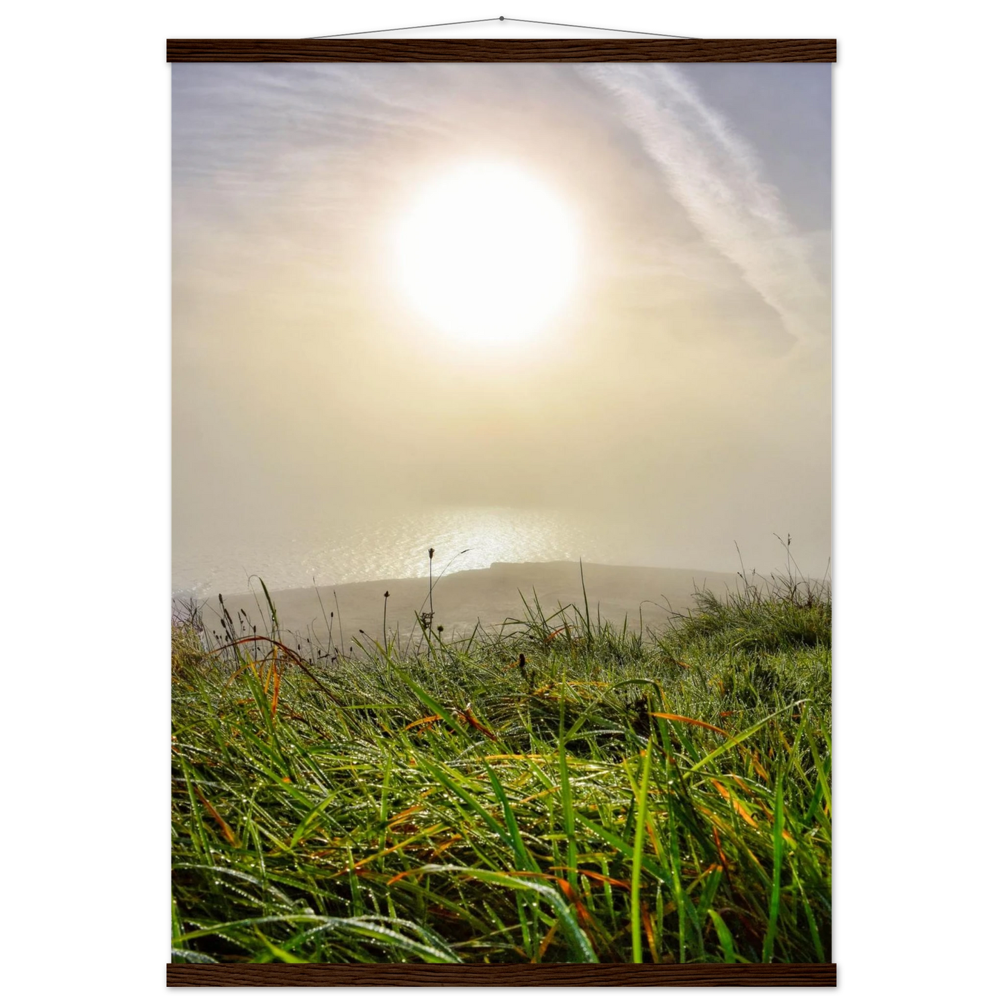 e8e381c3-a360-40a7-8f23-5f8d701ecd15