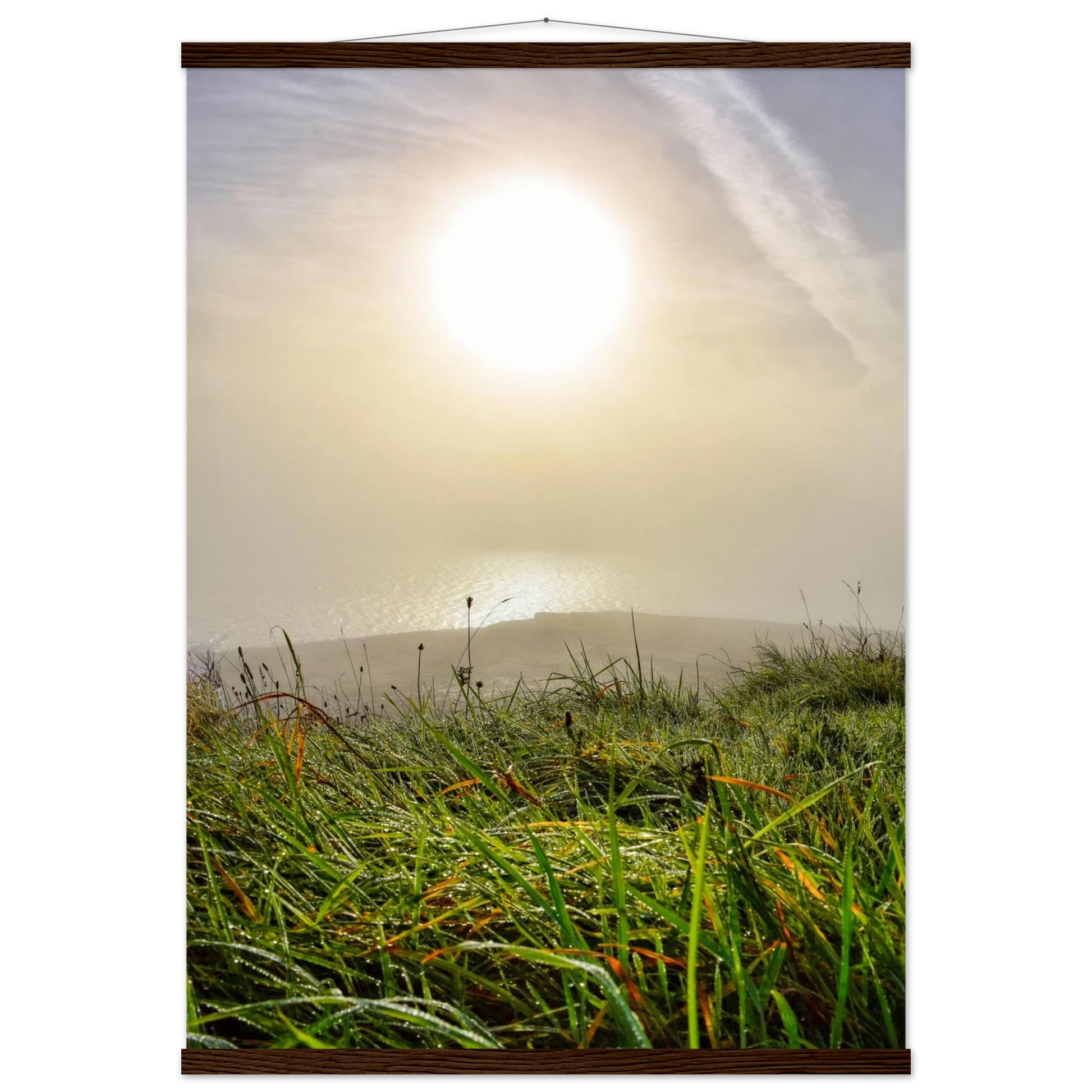 e8e381c3-a360-40a7-8f23-5f8d701ecd15