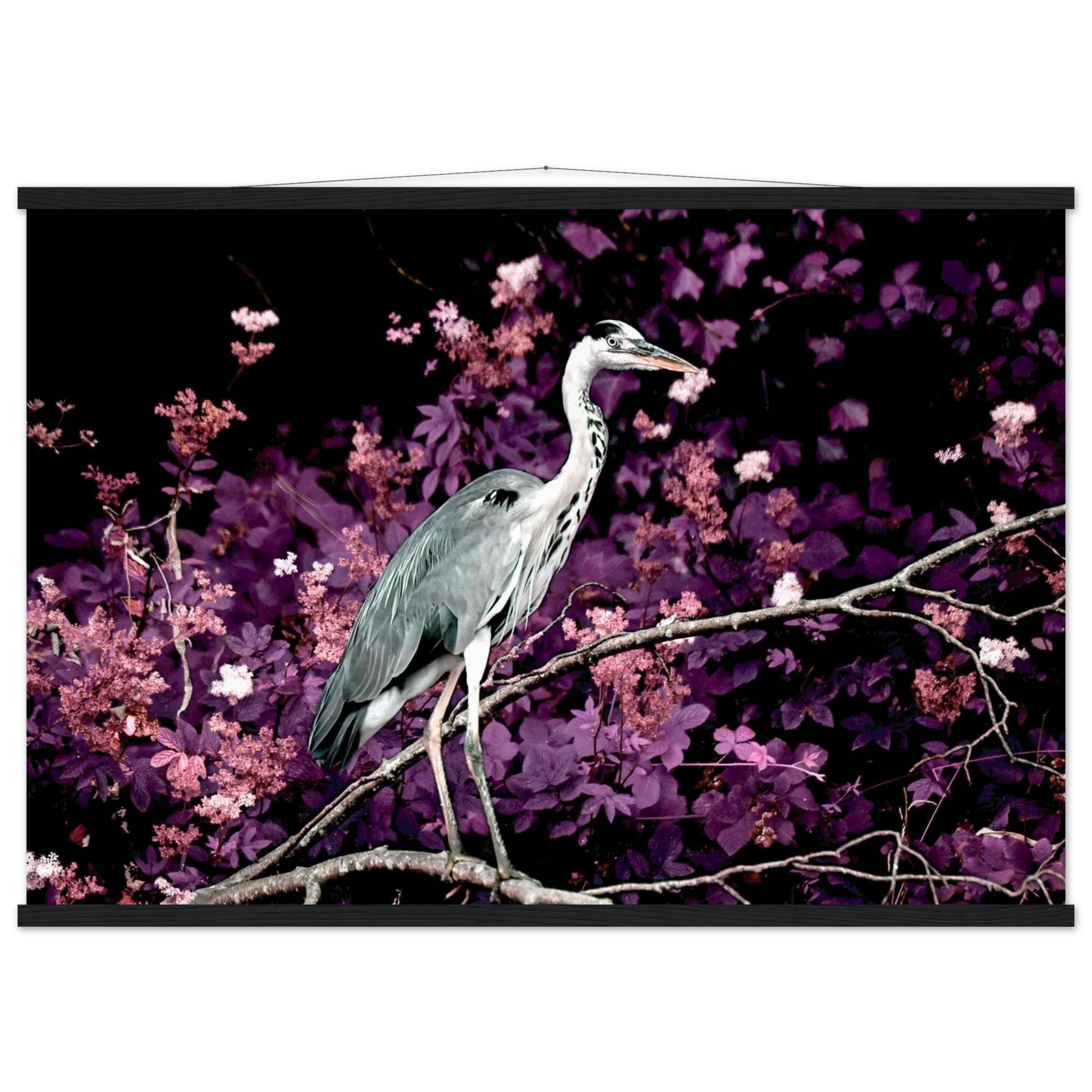 e8fa7709-a241-4040-ac87-8e9a72660fee