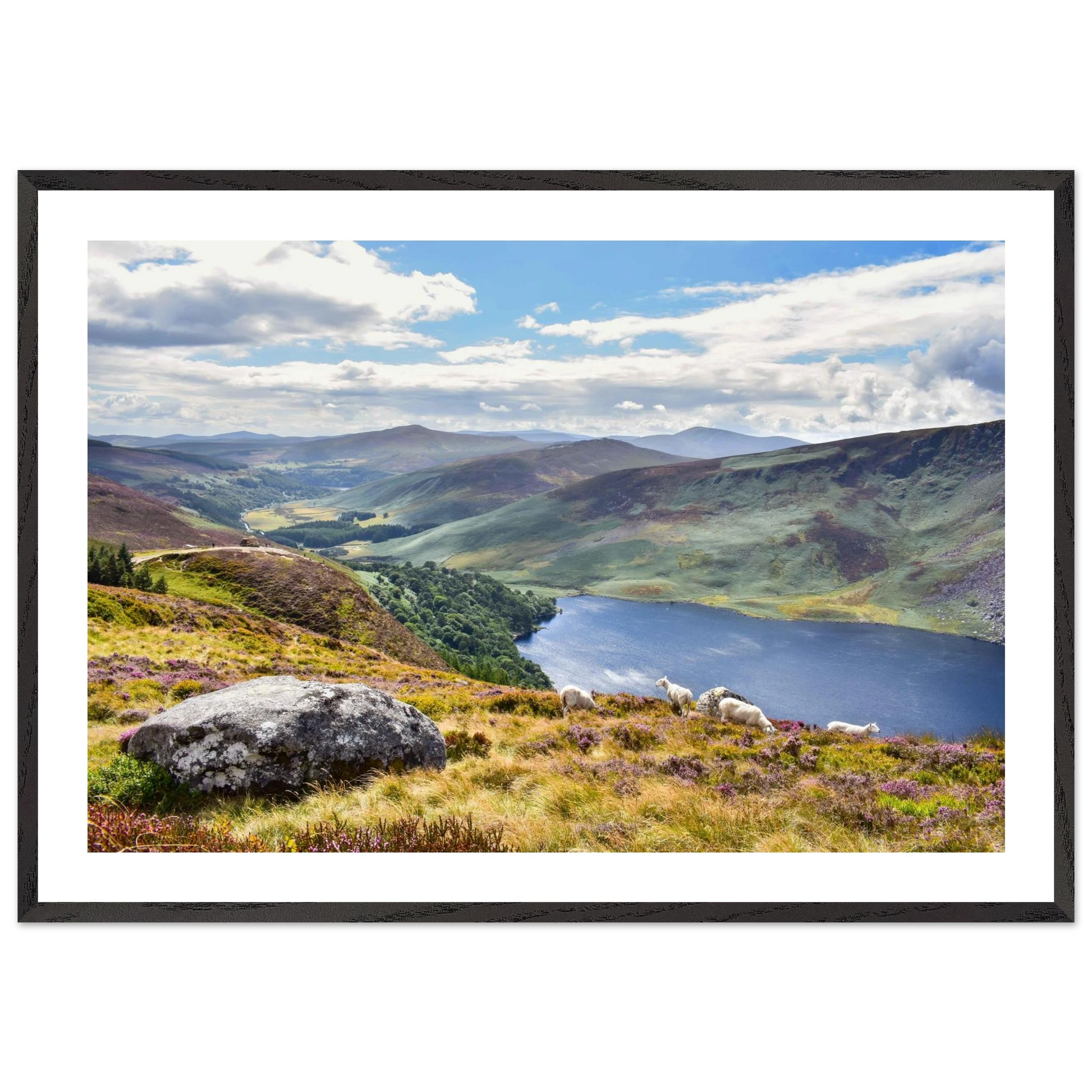 e919a302-092b-455e-8888-821a089477d1