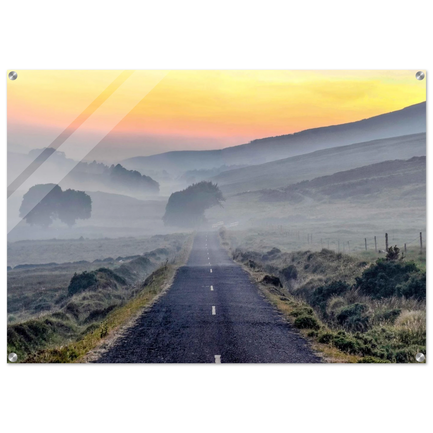 e91beceb-4dc8-4f7a-afde-1df4d80114c4