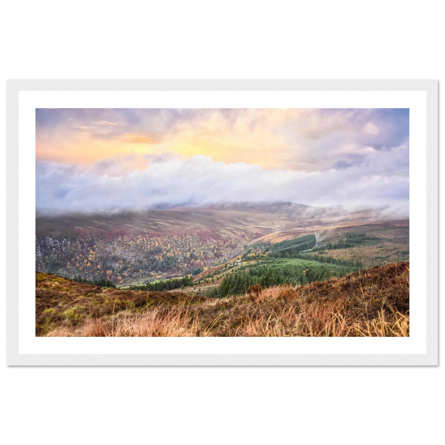 e92f4d6b-9ff7-465d-925d-a4d1eac04d53